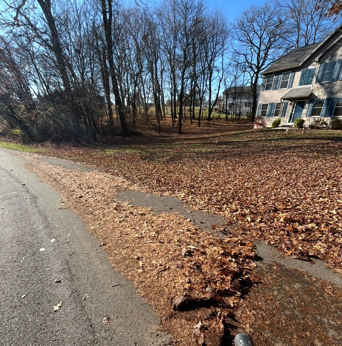 Fall cleanup, leaves cleanup, Leaf pickup