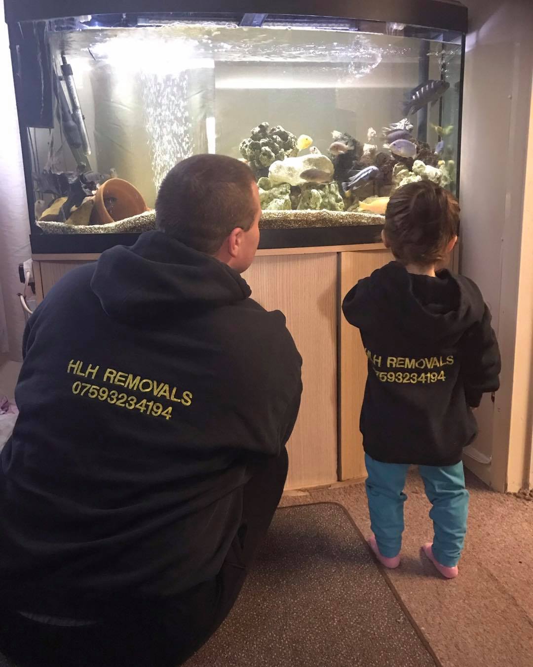 Two people in black hoodies kneel by a lit aquarium with rocks and plants.