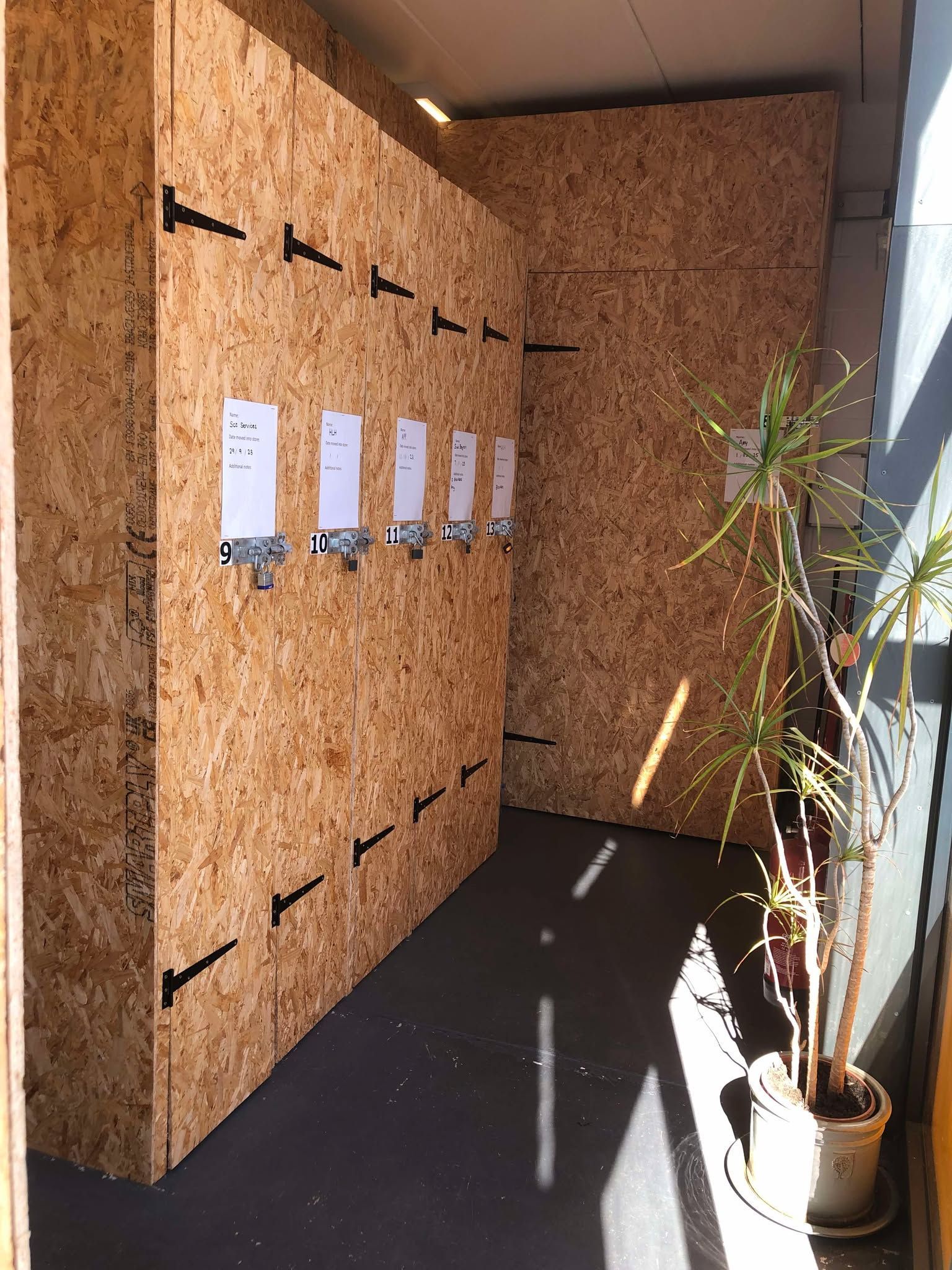 Sunlit cork bulletin board wall with several white notices and a potted plant in the corner
