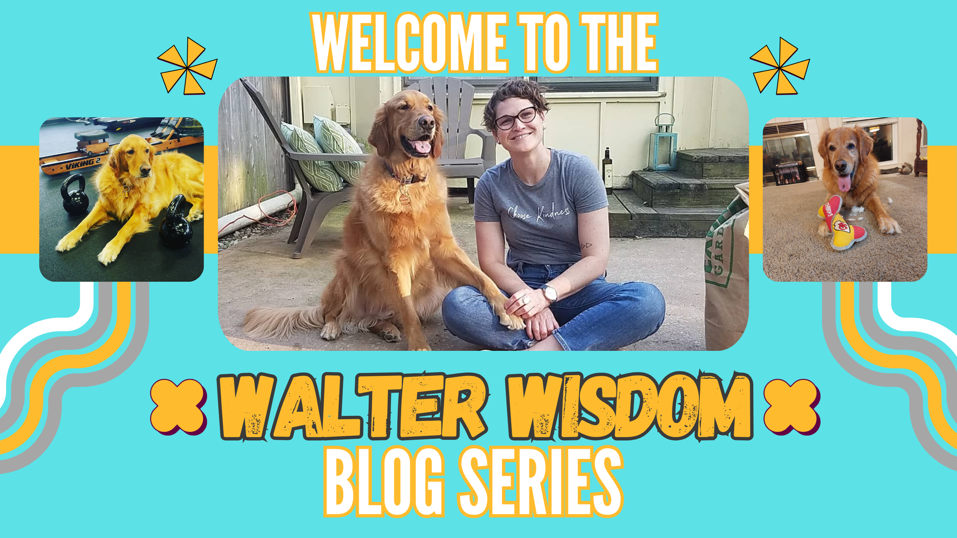Promotional banner with dog and person on turquoise background, reading “Welcome to the Walter Wisdom Blog Series.”
