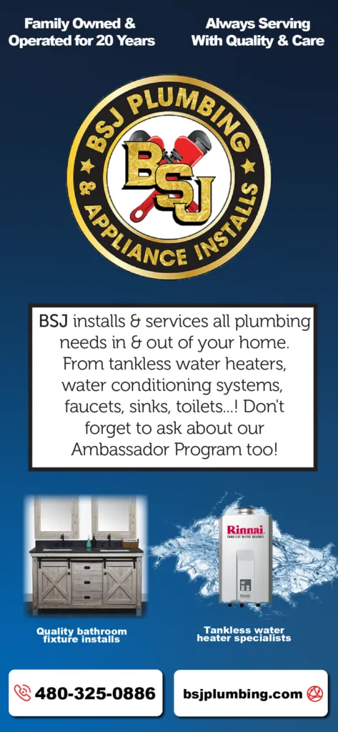 B.S. Plumbing Services ad with logo, slogan, service text, water heater and furnace images, phone and website.