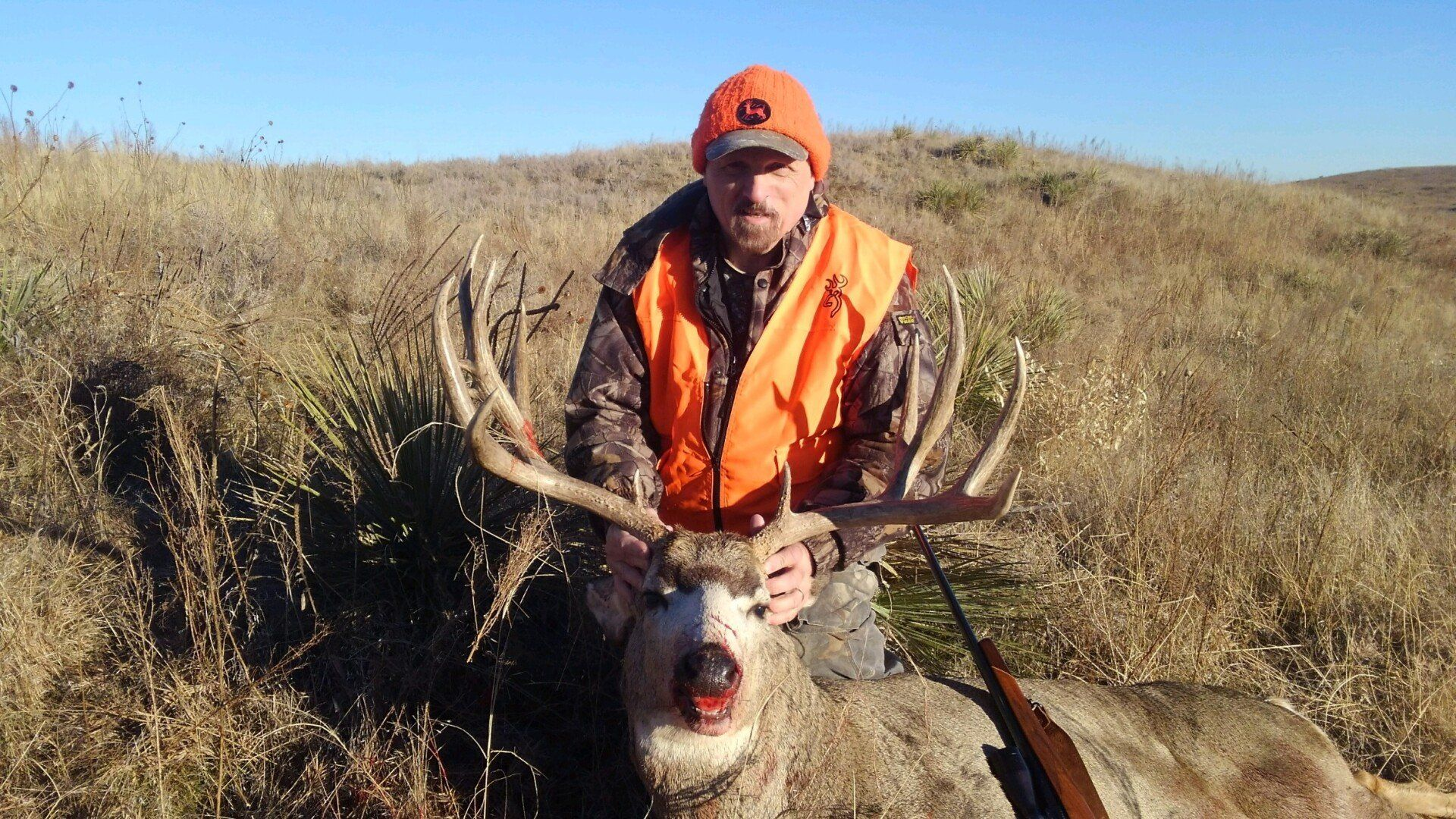 Hunter in orange vest and cap kneels with a deer in a grassy field, holding a large antlered buck.