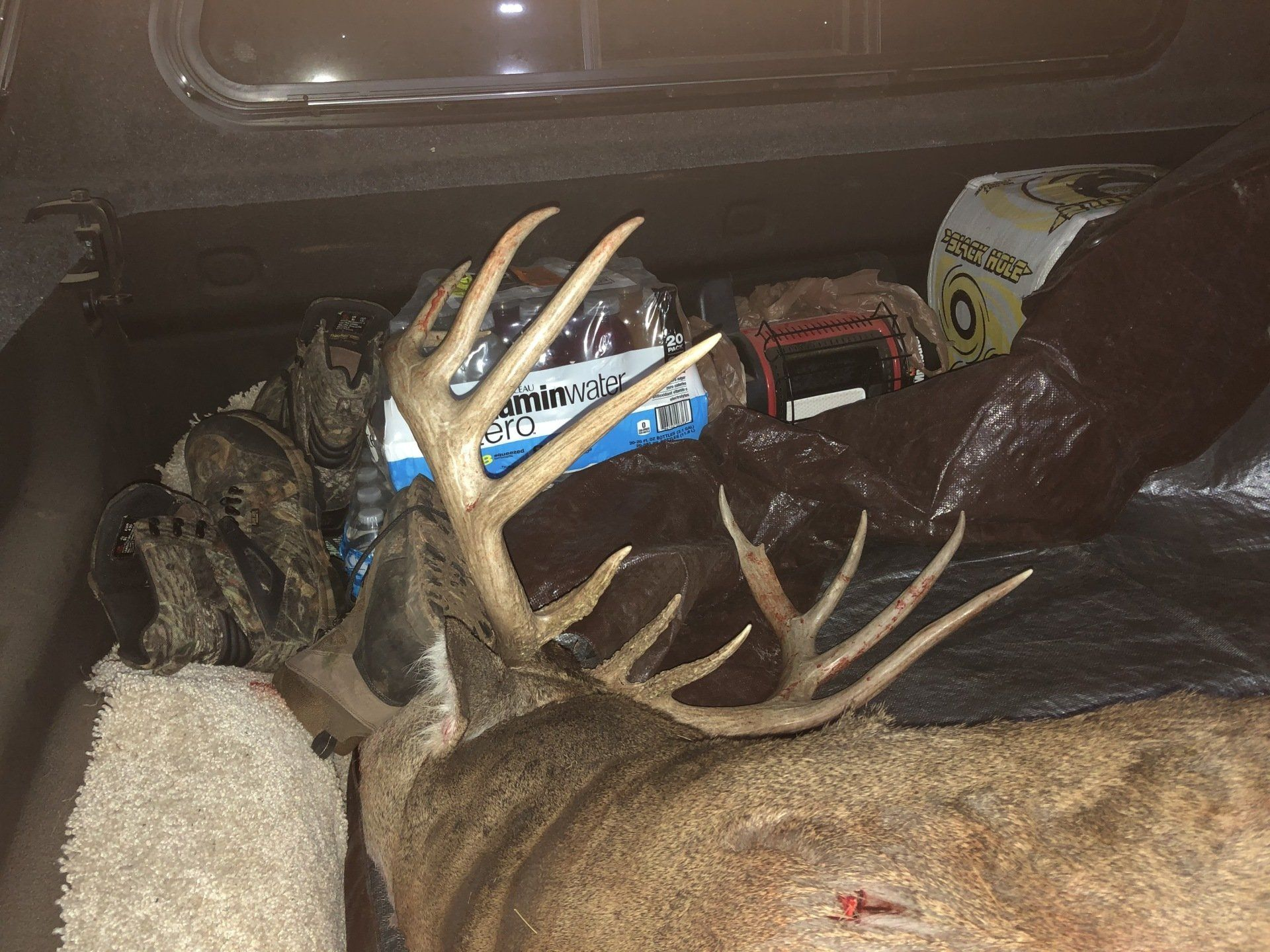 Two deer carcasses in a truck bed with antlers visible, alongside bags and supplies.
