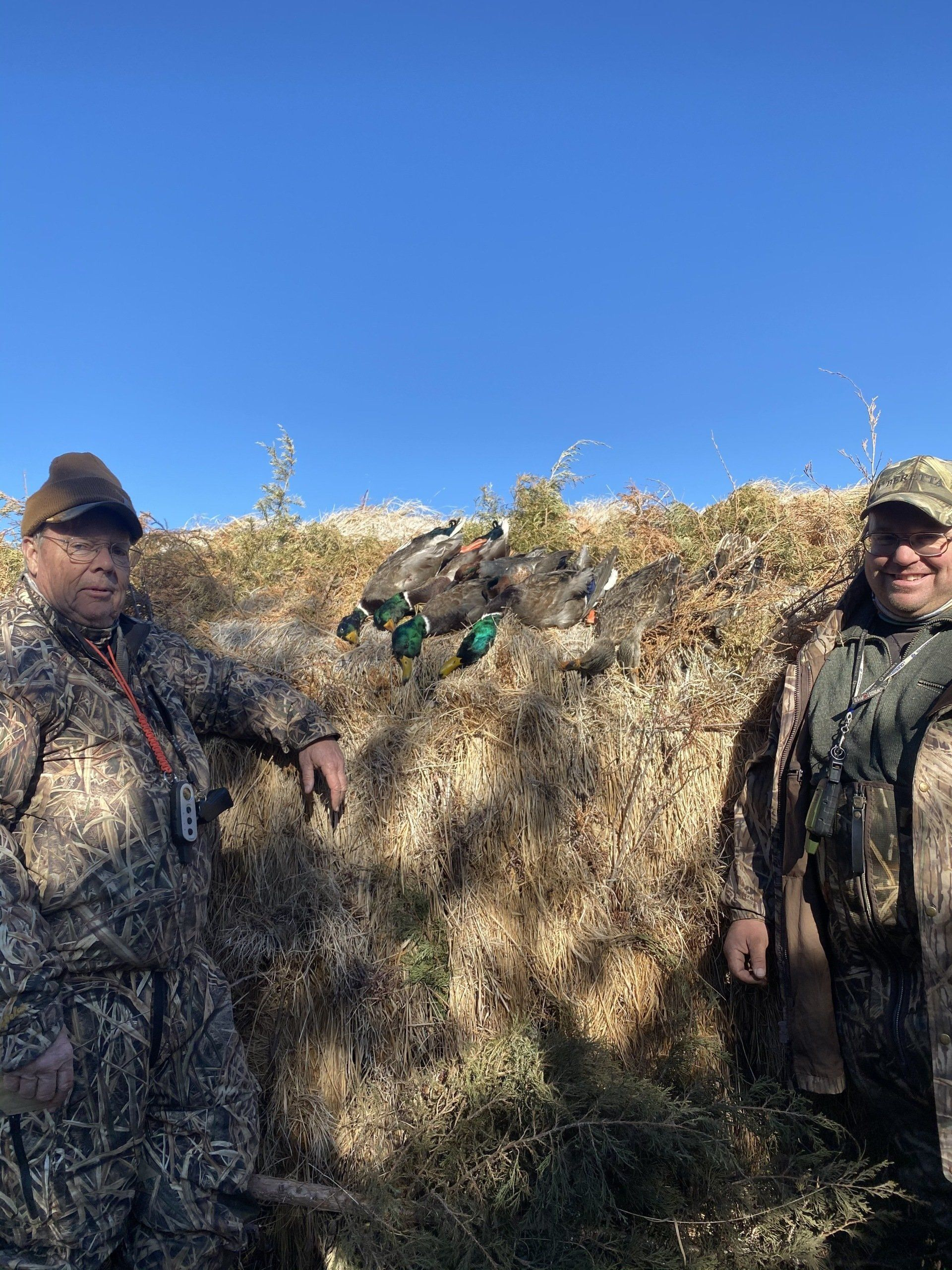 Two hunters in camouflage stand beside a brush blind under a clear blue sky.