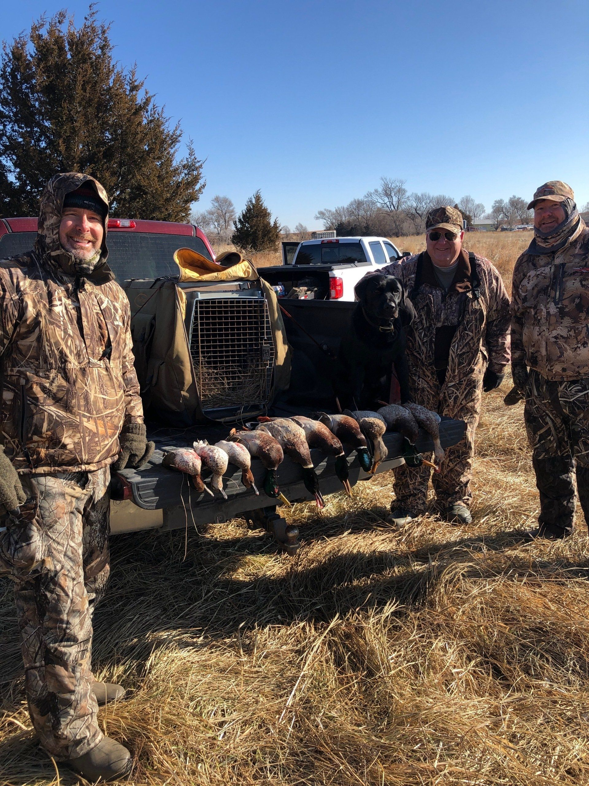 Four hunters in camouflage stand by a pickup truck with a row of geese on the ground in a field.