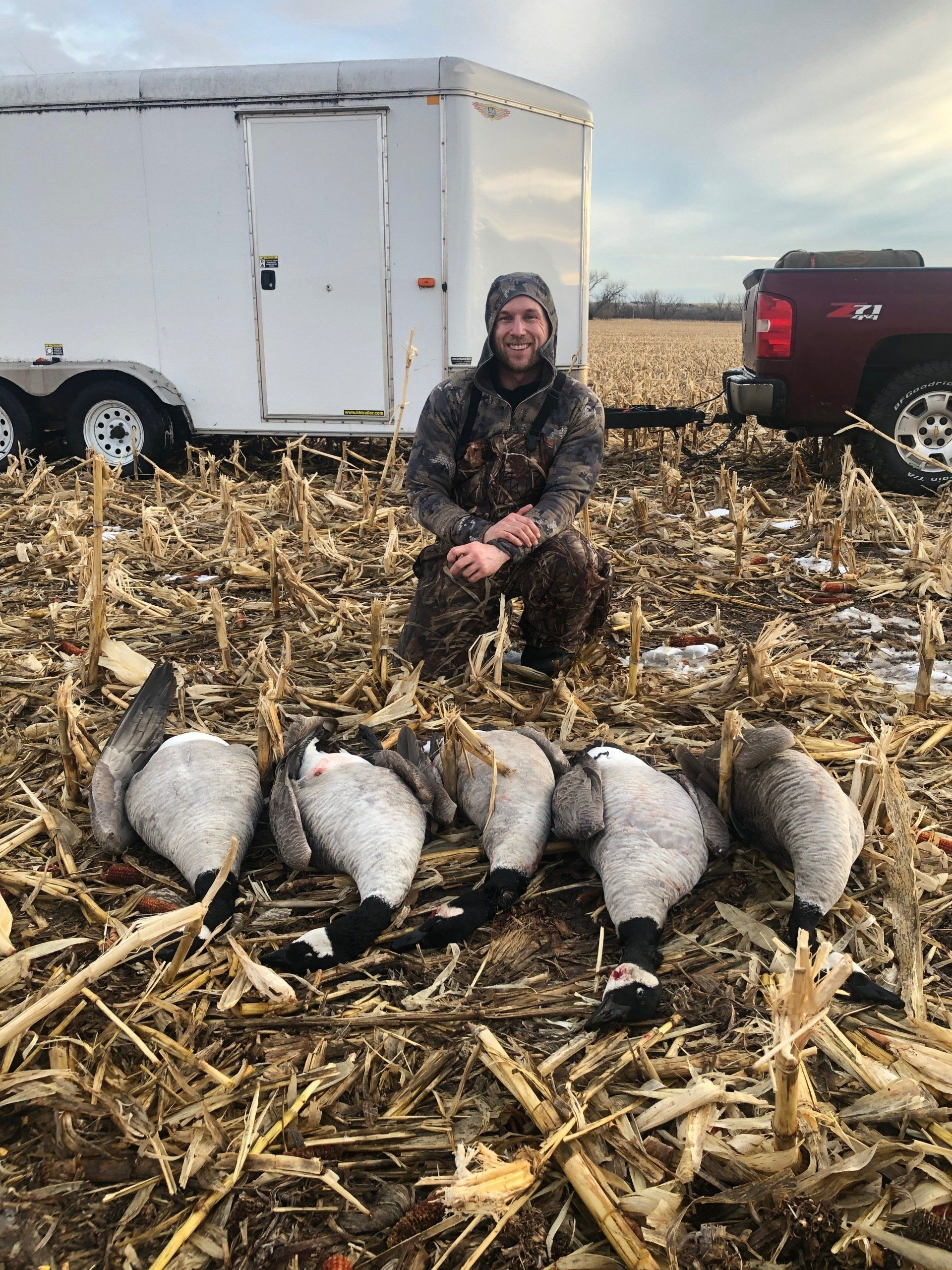 Hunter crouching behind five geese beside a white trailer in a harvested cornfield.
