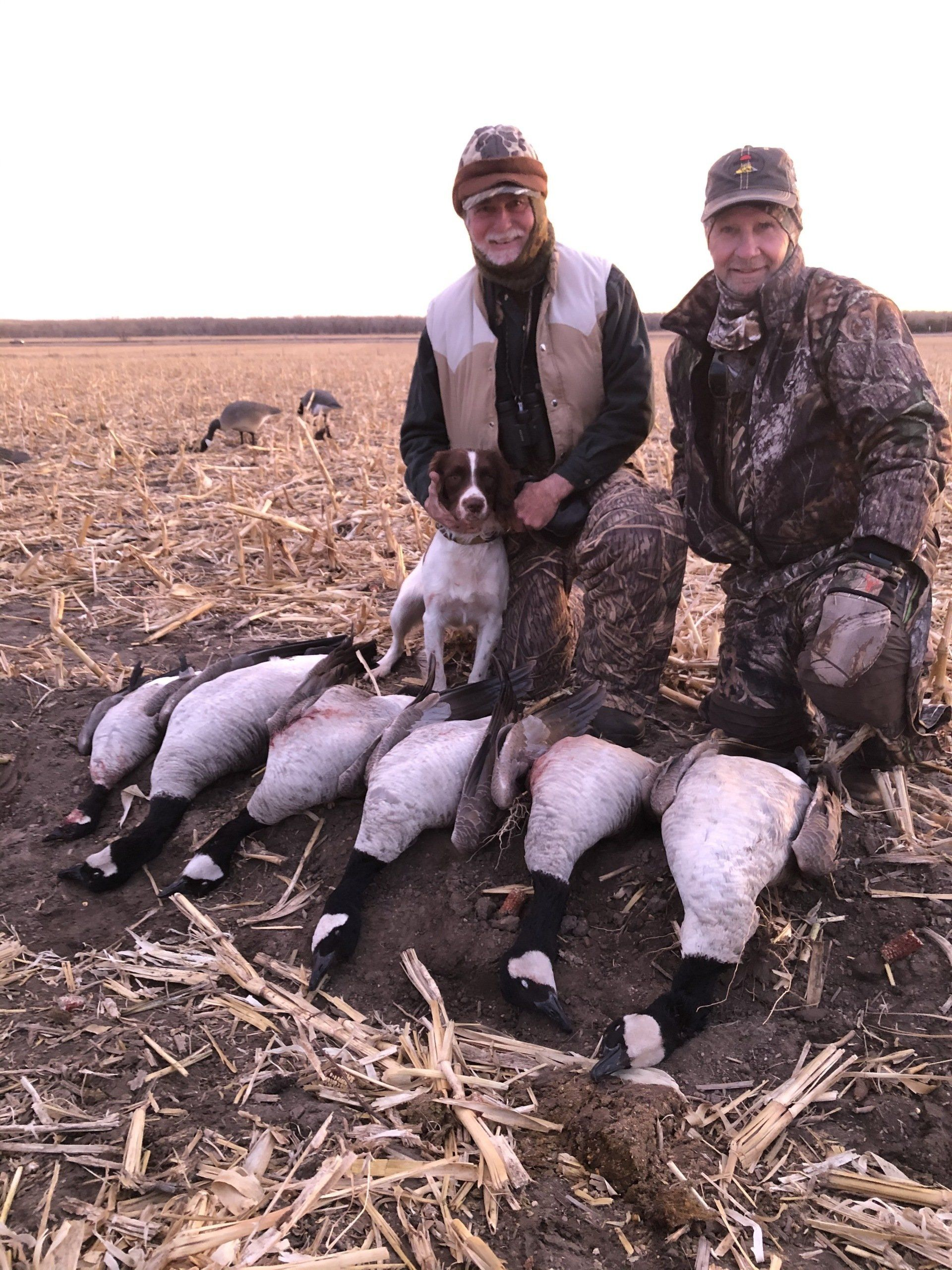 Two hunters kneel beside a row of geese in a harvested field at dusk