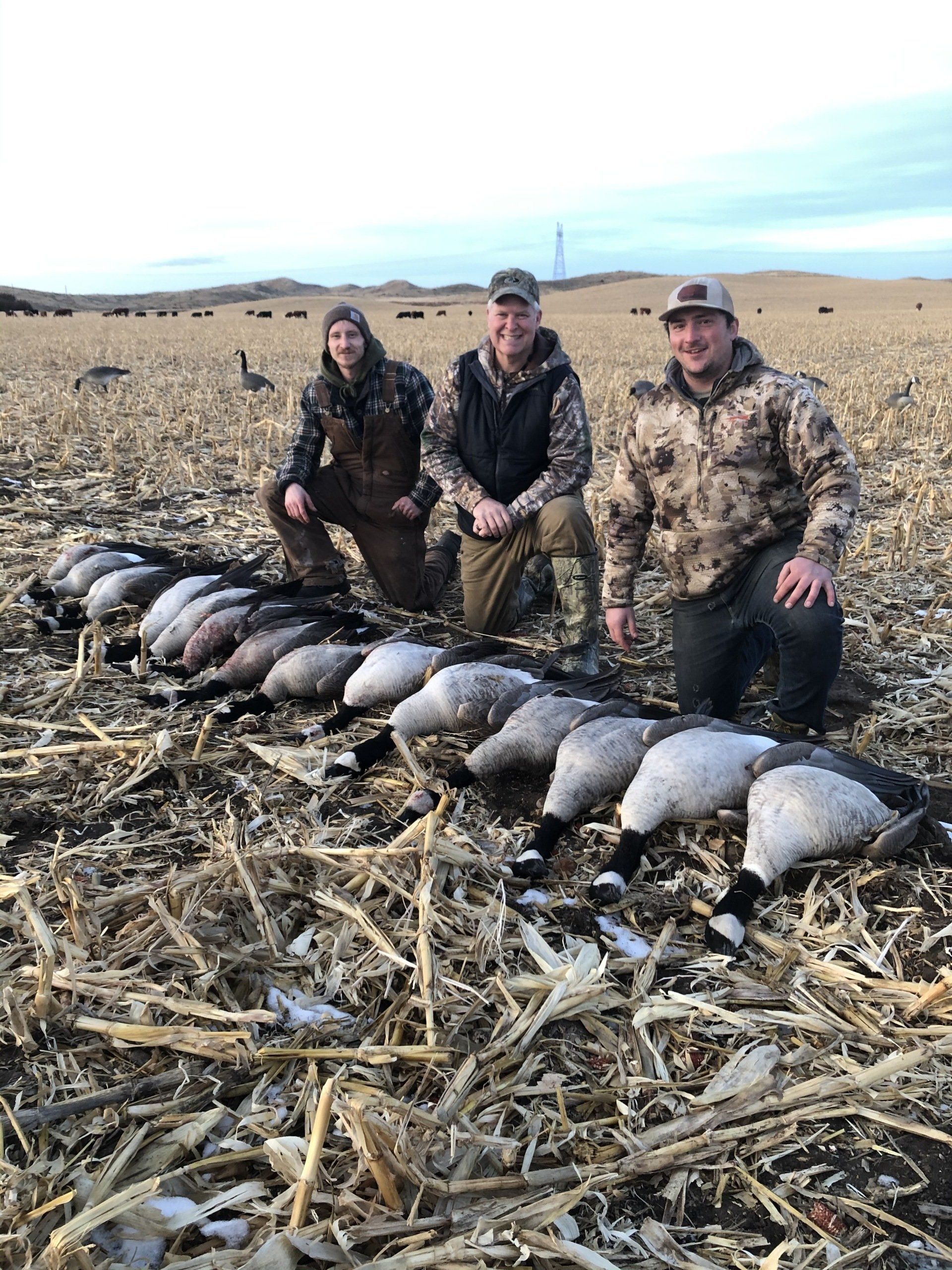 Three hunters kneel behind a row of harvested geese in a harvested field at dusk.