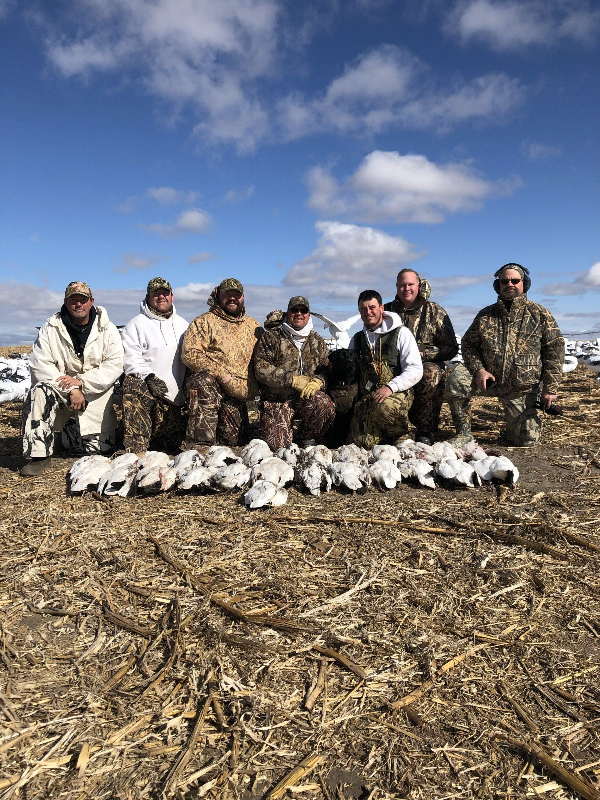 Hunters kneeling behind a row of white birds in a harvested field under a blue sky