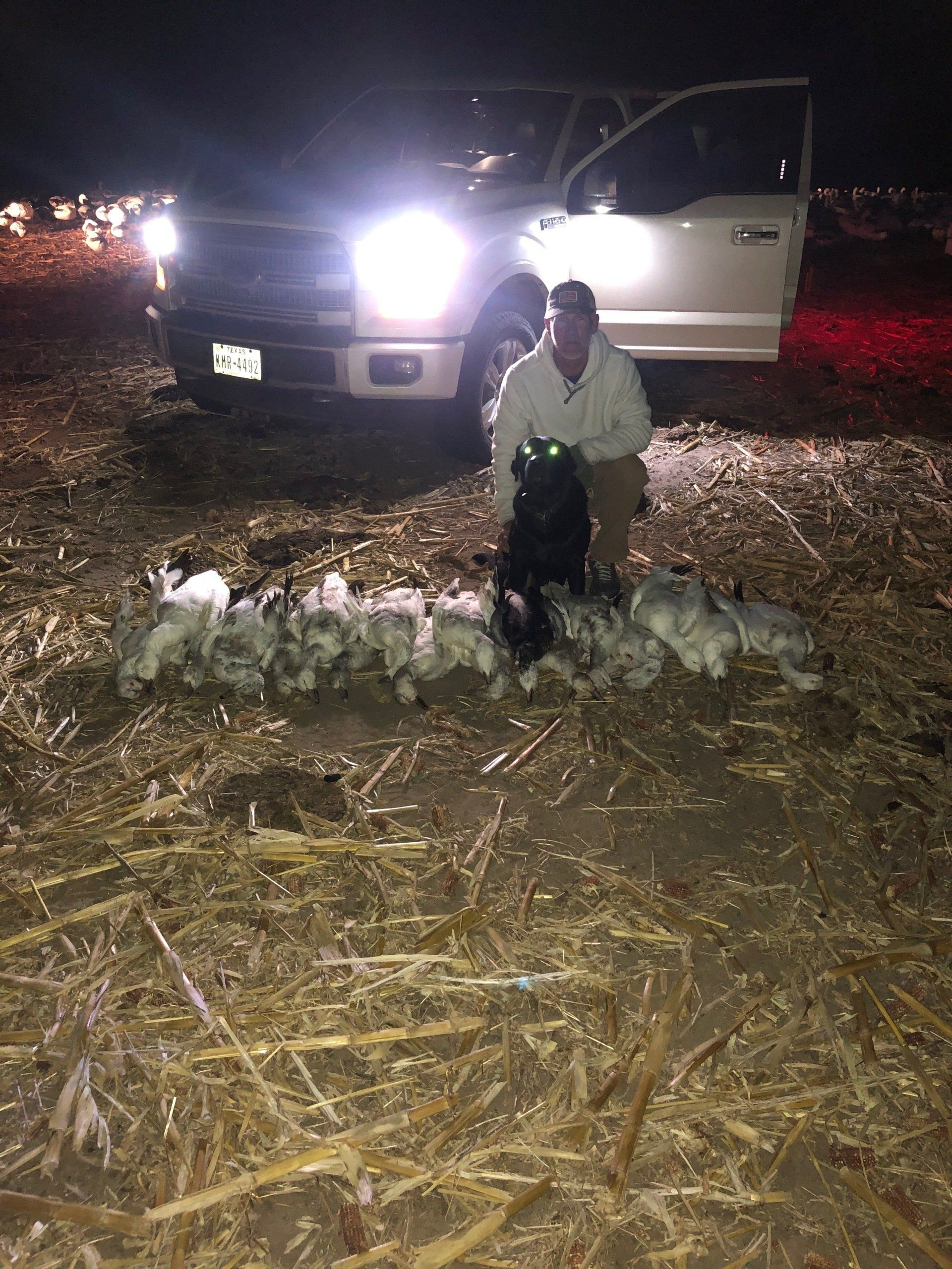 Man kneeling on a row of caught fish at night beside a vehicle with bright headlights in a field