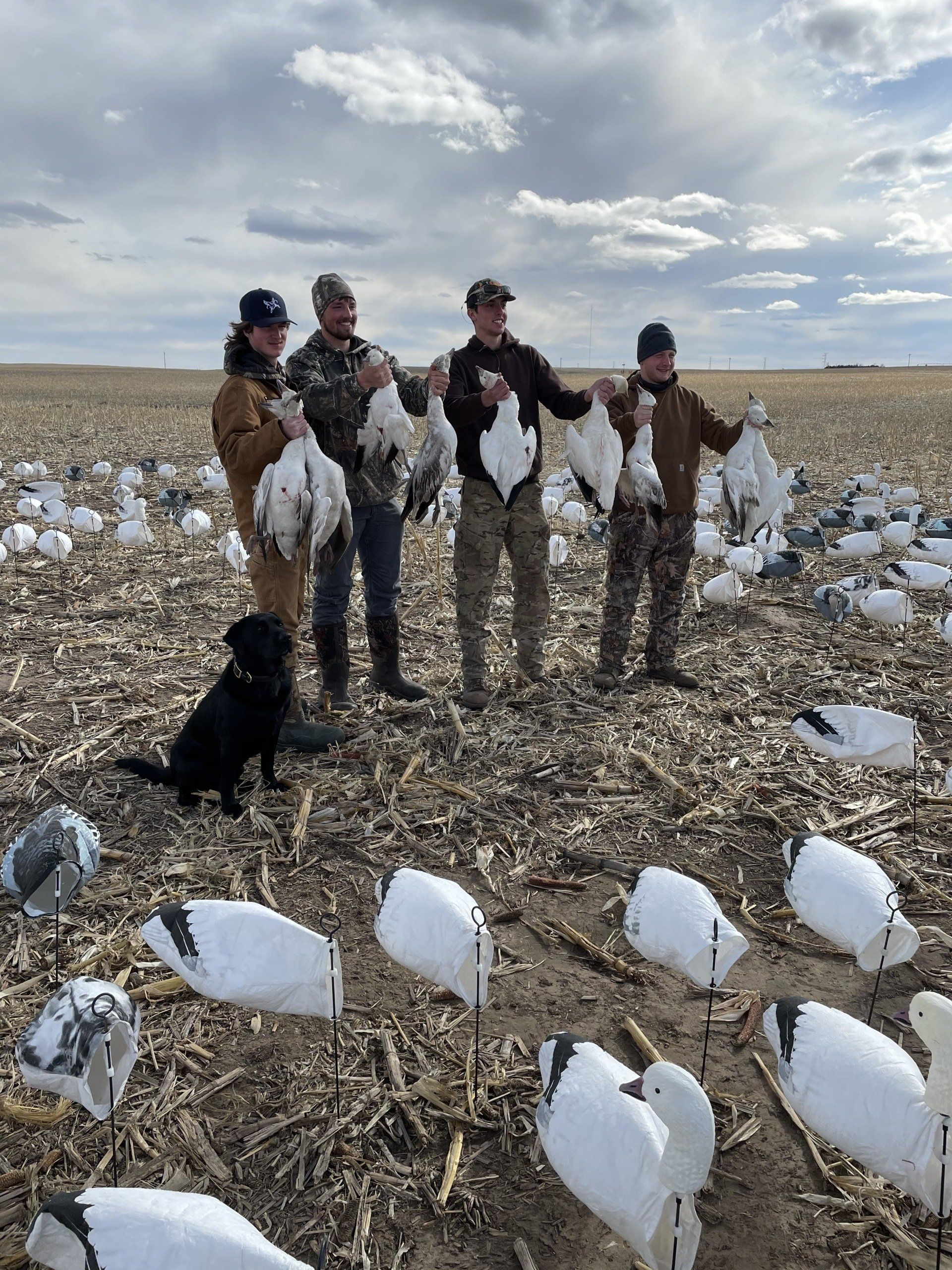 Hunters with a dog posing in a field beside many white decoy birds under a cloudy sky