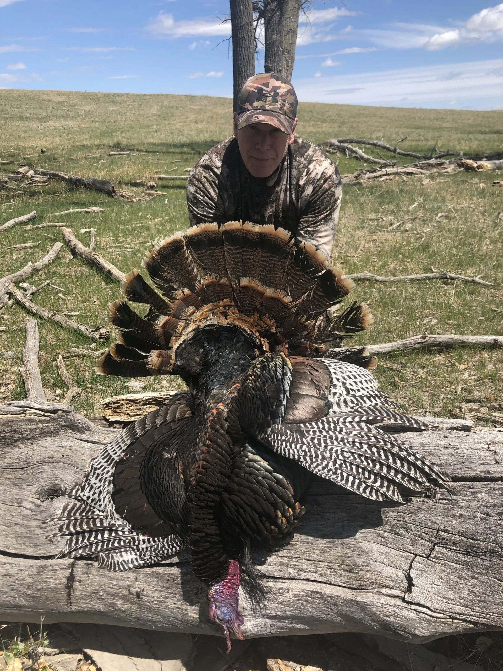 Hunter posing with a large turkey on a log in a grassy field