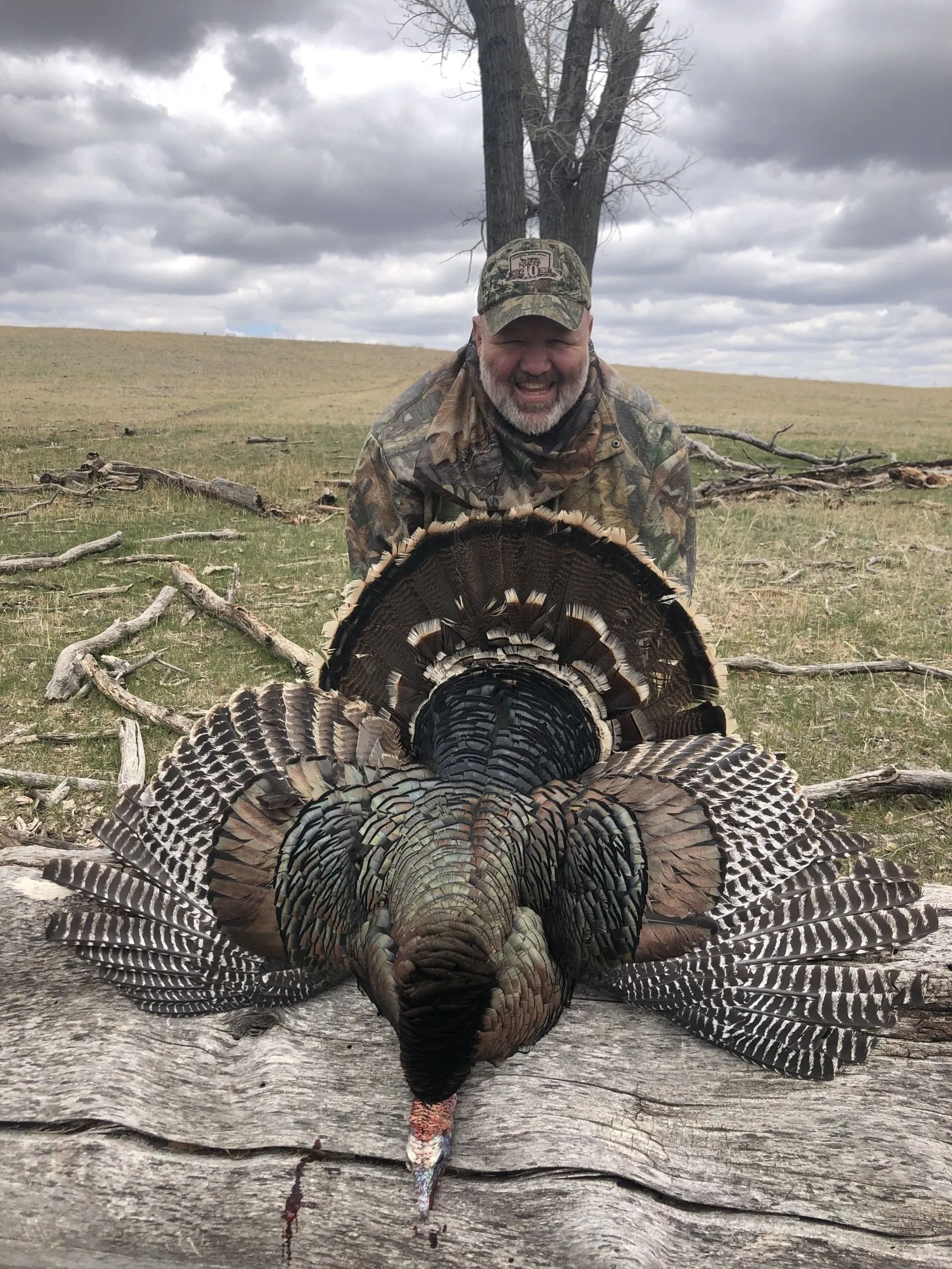 Hunter kneels behind a wild turkey laid out on the ground in a grassy field.