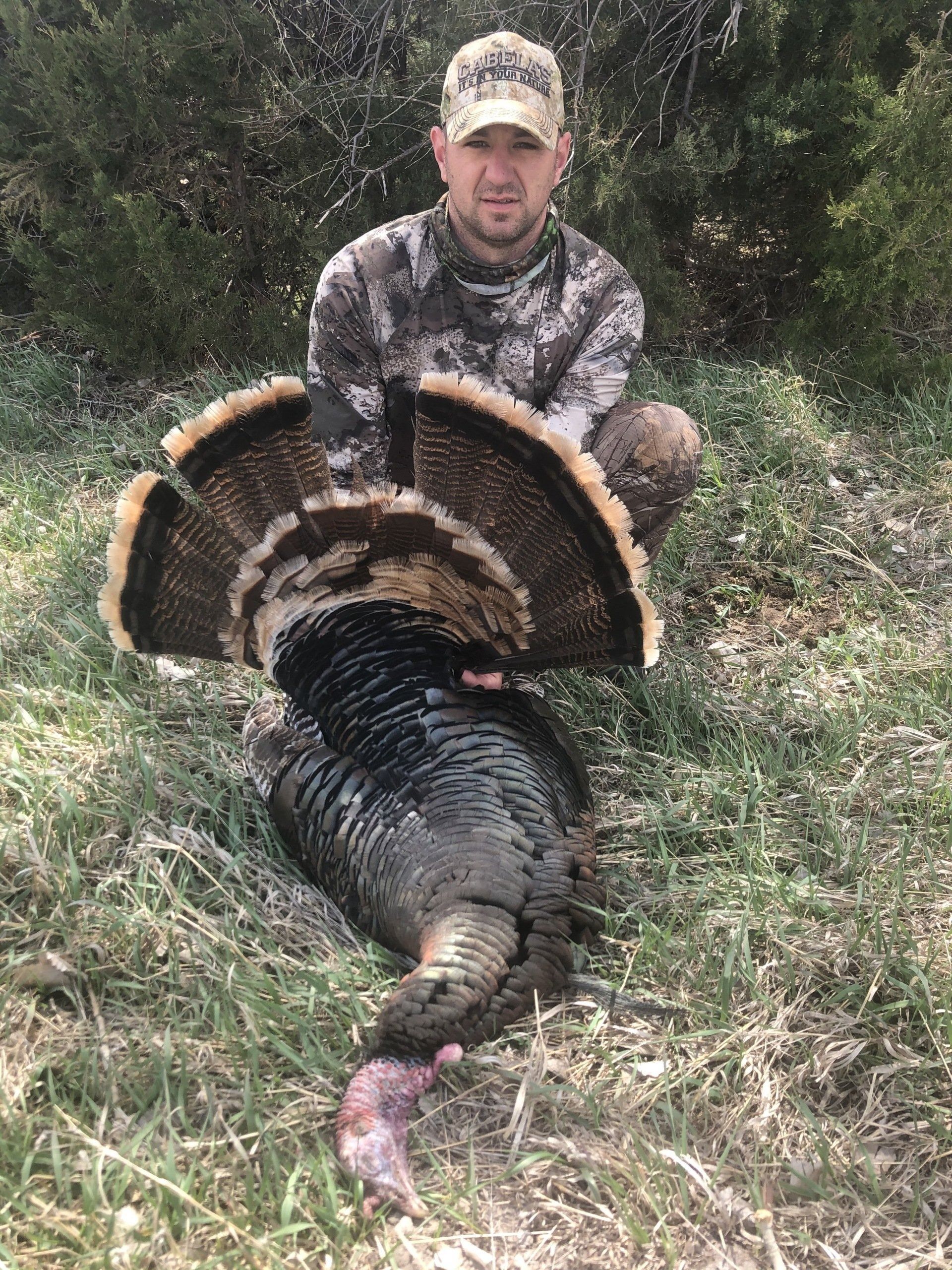 Hunter kneeling behind a large wild turkey in grassy woods, holding it by the tail fan