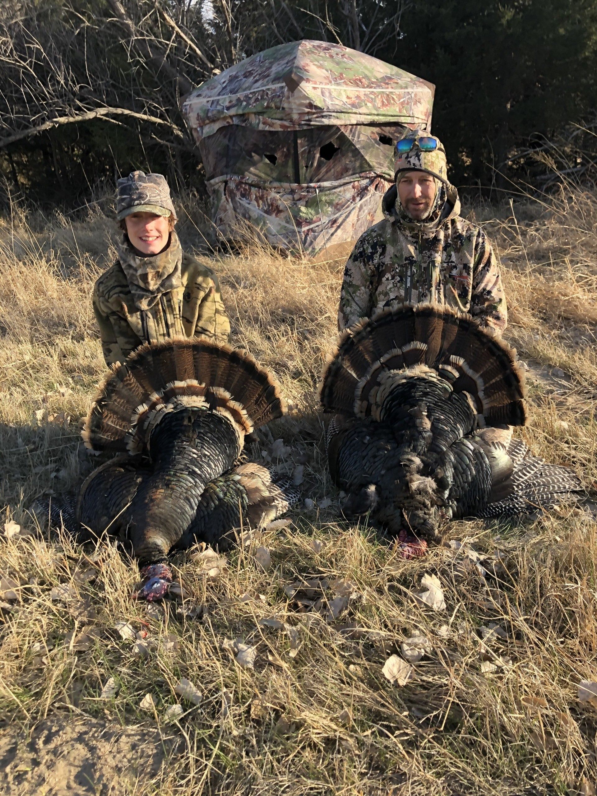 Two hunters kneel with wild turkeys in dry grass, a camouflaged tent behind them.