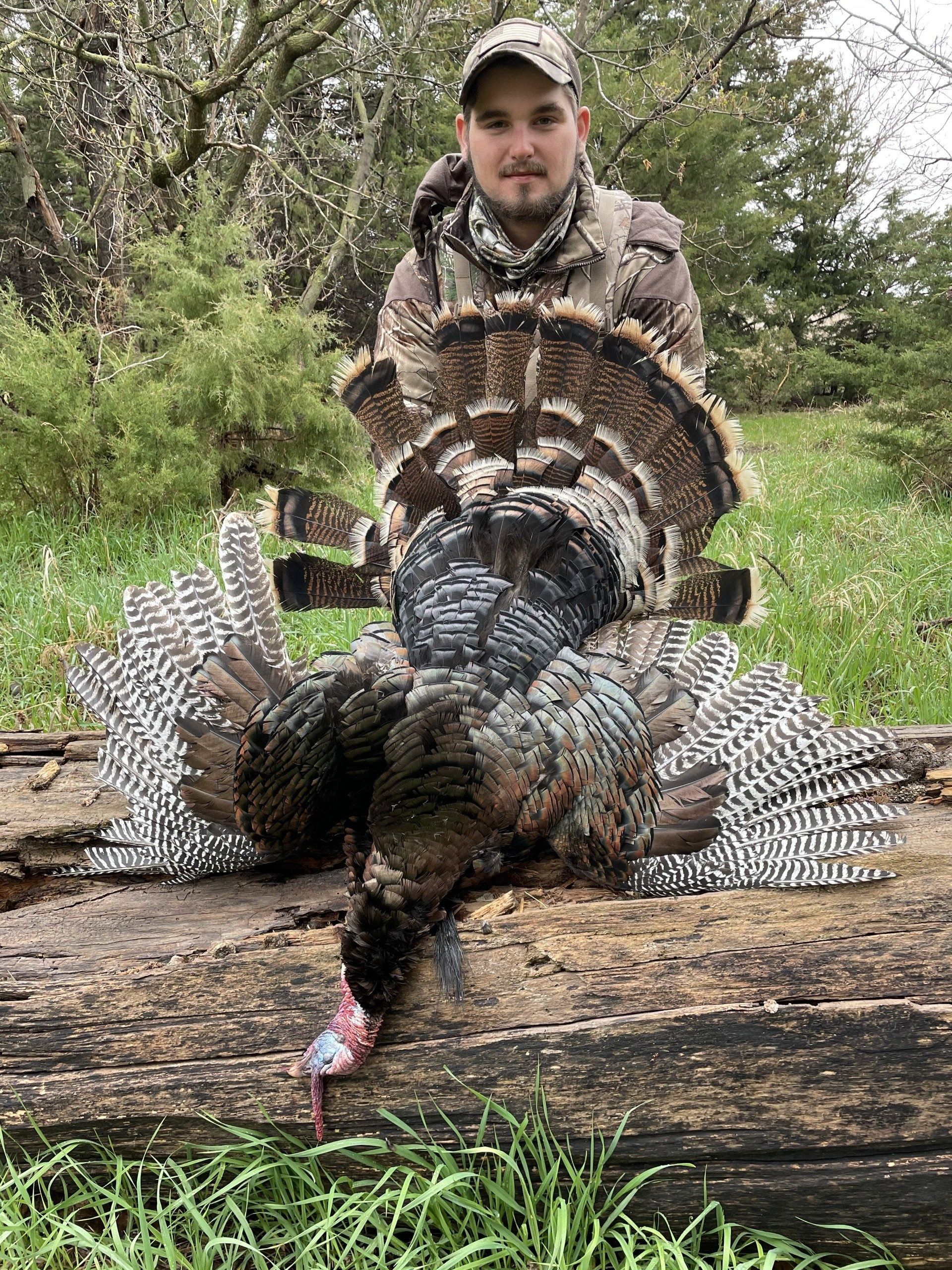Hunter posing behind a large wild turkey on a log in a grassy wooded area