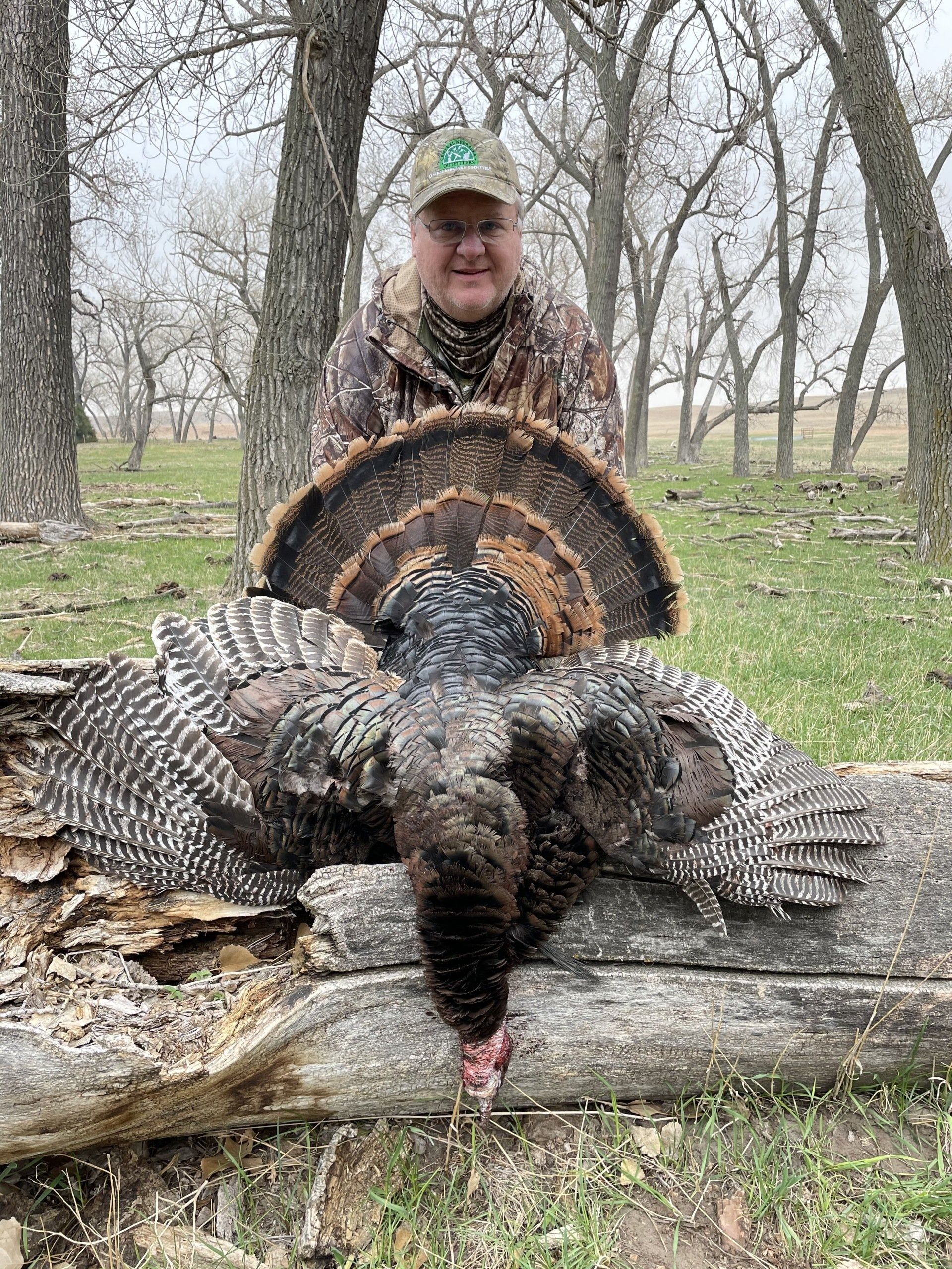 Hunter crouching behind a wild turkey with spread tail in a wooded area.