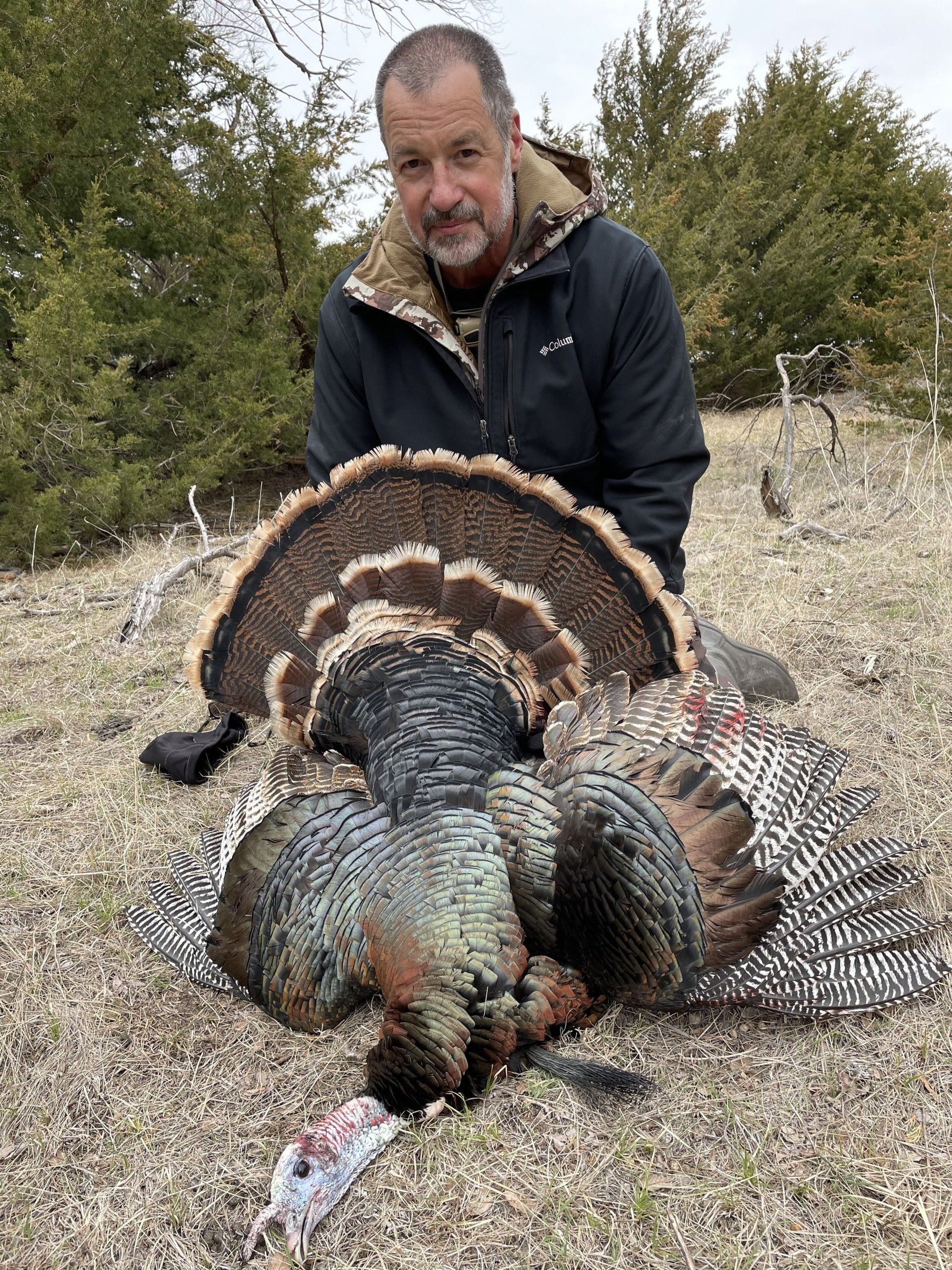 Man kneels behind a large wild turkey on a grassy field with trees in the background