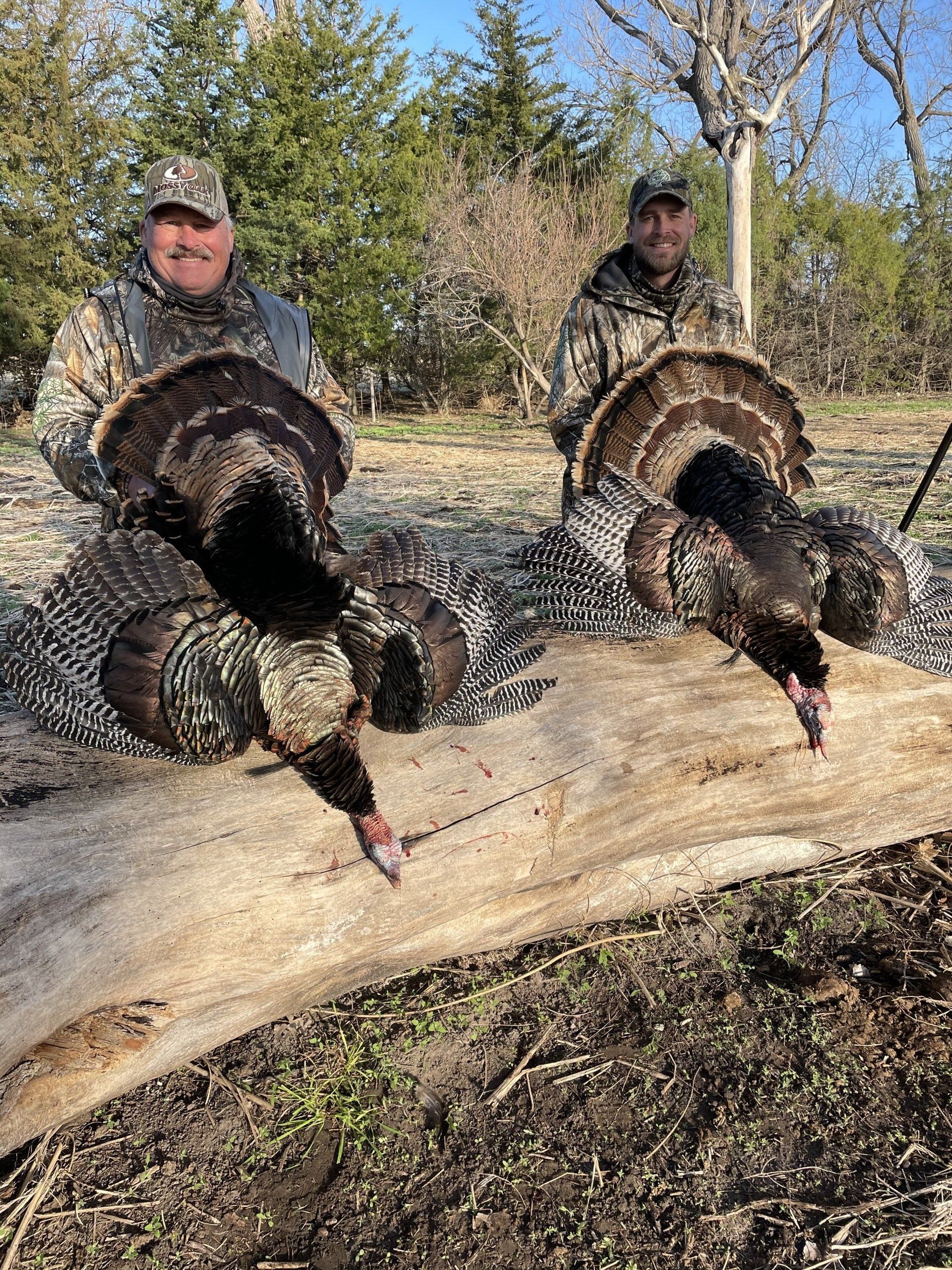 Two hunters standing behind two dead wild turkeys on a log in a wooded field