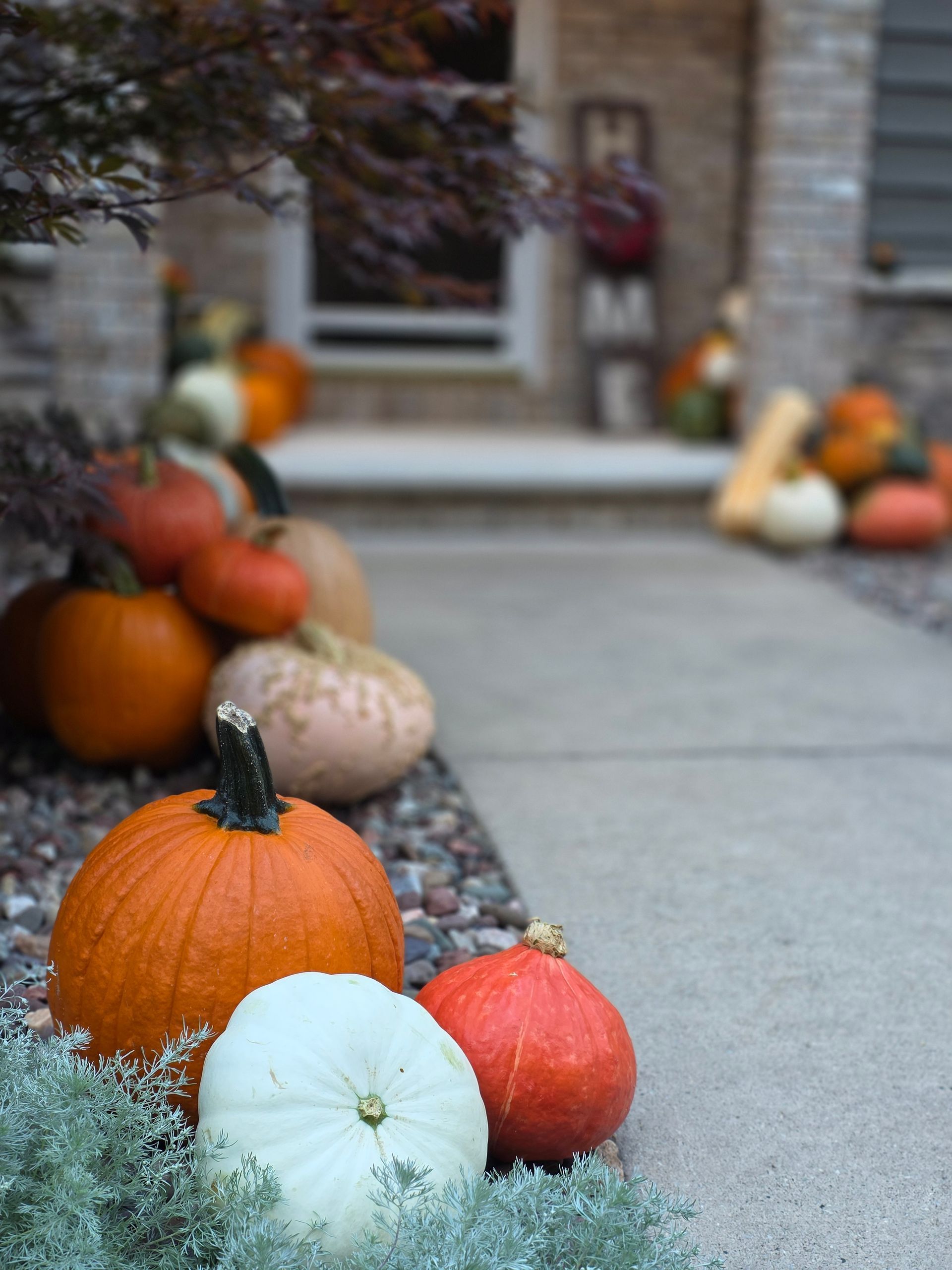 Fall porch decor with pumpkins, mums, and a wreath on a black door.