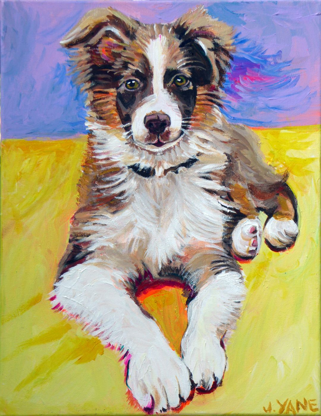 Puppy, brown and white, with black collar, lying down on yellow, with blue and pink background.