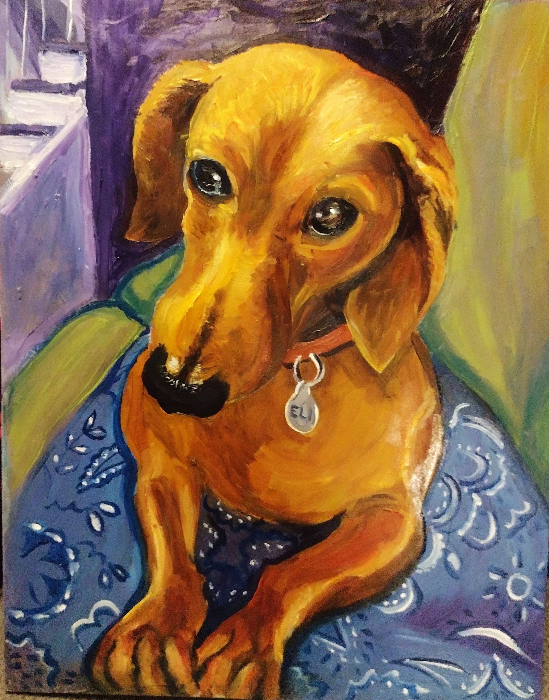 Golden dachshund dog portrait, wearing a red collar and blue bandana, on a blue patterned blanket.