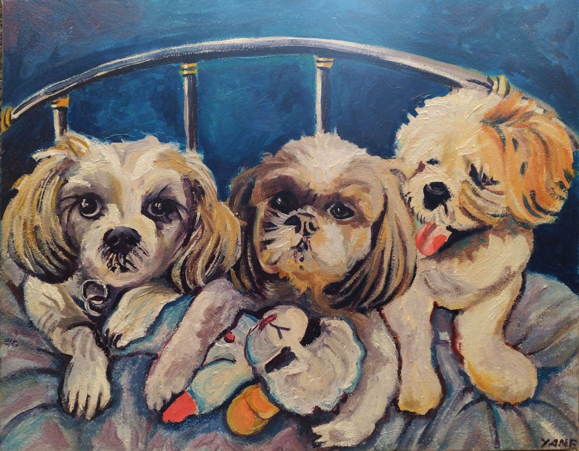 Three Shih Tzu dogs on a bed. One has tongue out.