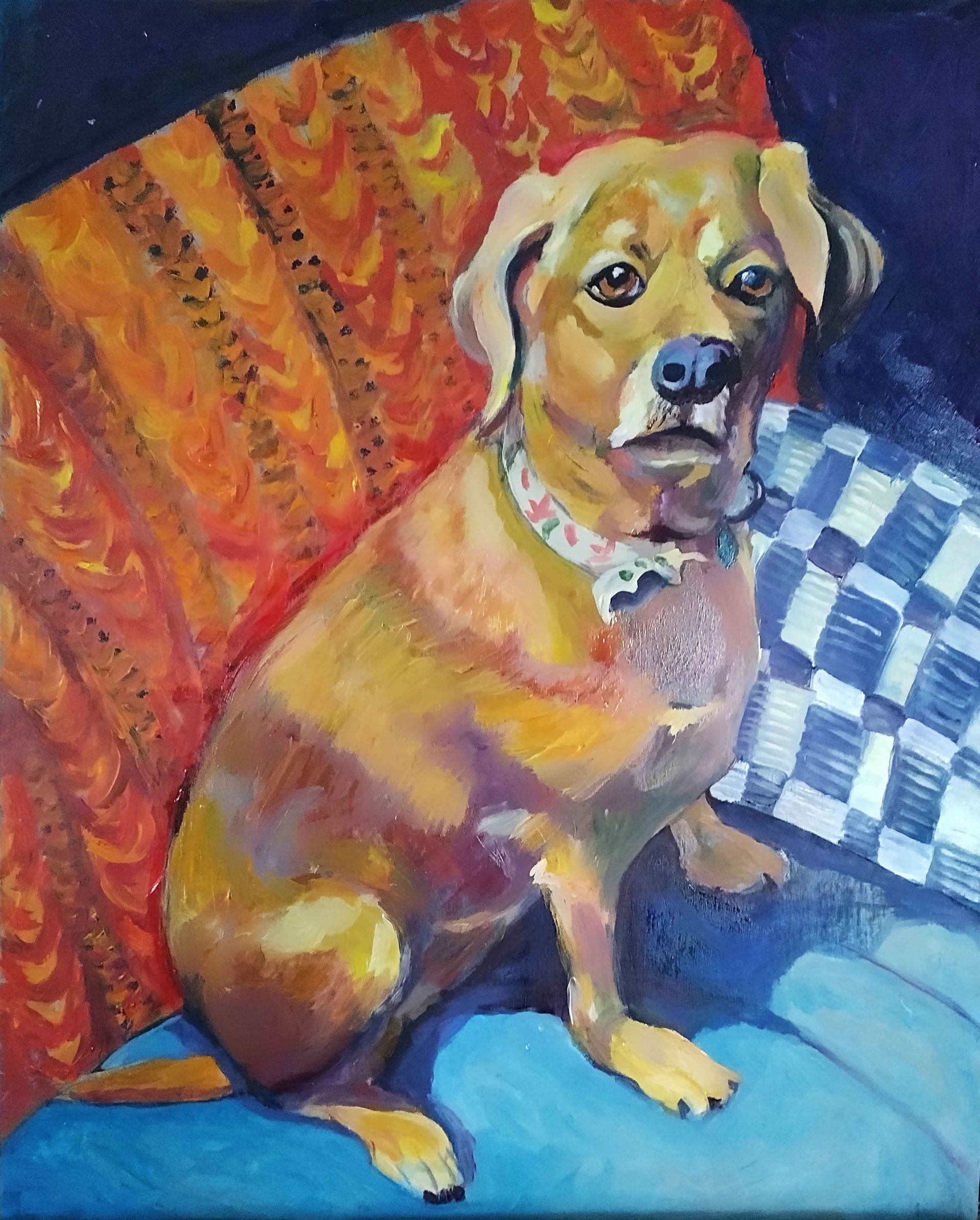 Golden dog sitting on a blue chair beside a red-orange blanket with a blue checkered pillow