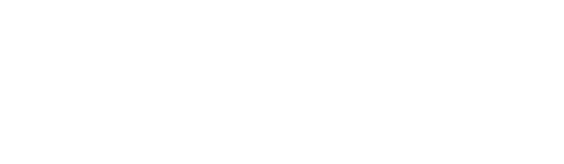 Home Shield Spray Foam