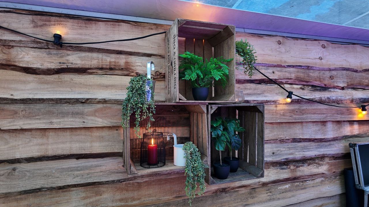 Houten kistjes met planten als decoratie