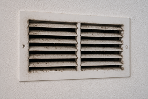 Musty Smell in House