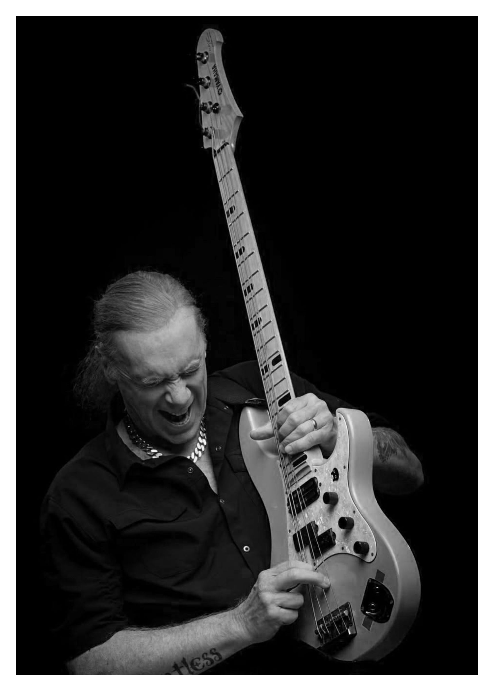 Billy Sheehan, Bassist, musician