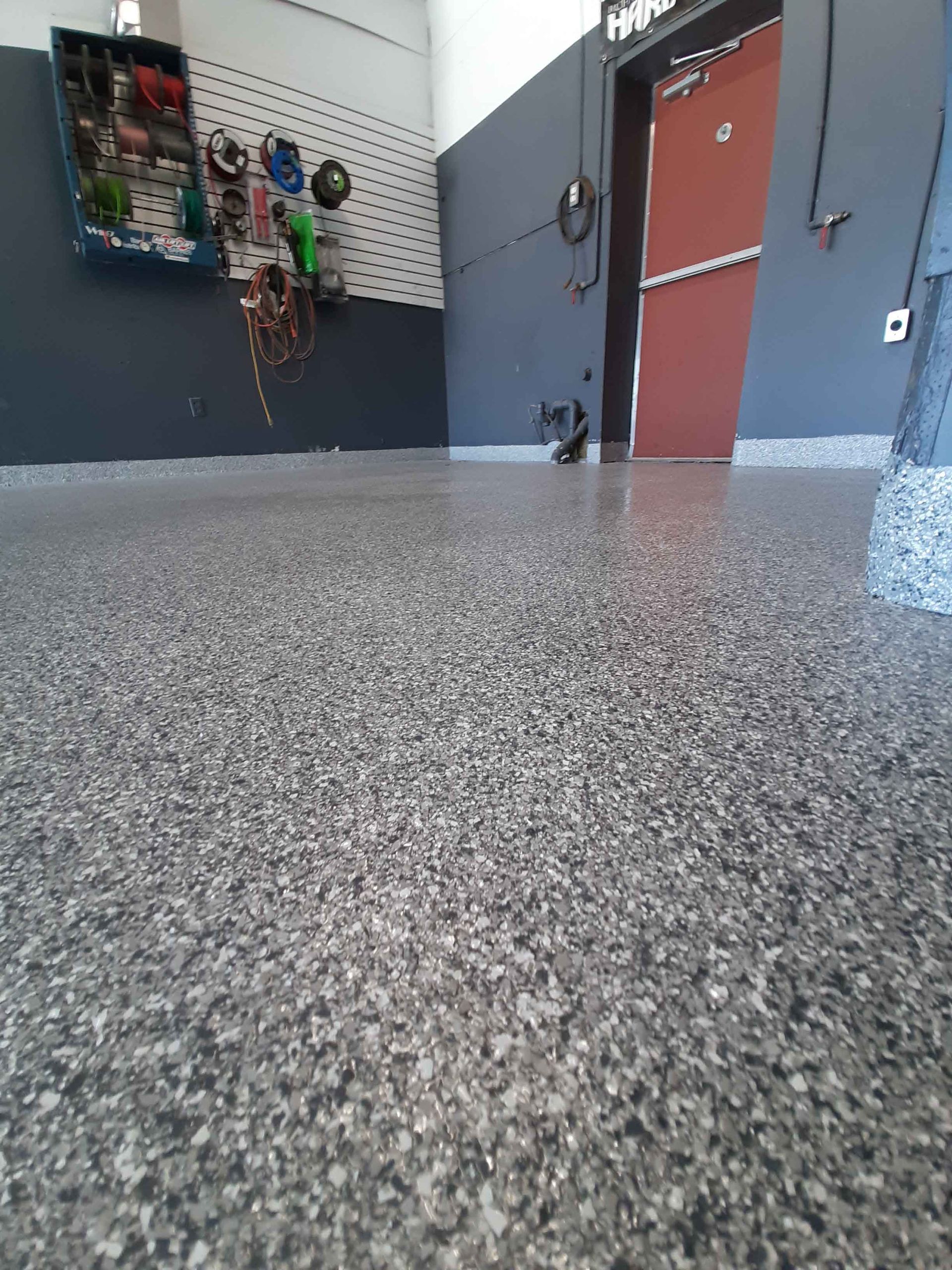 A dog is standing on a concrete floor in a room.