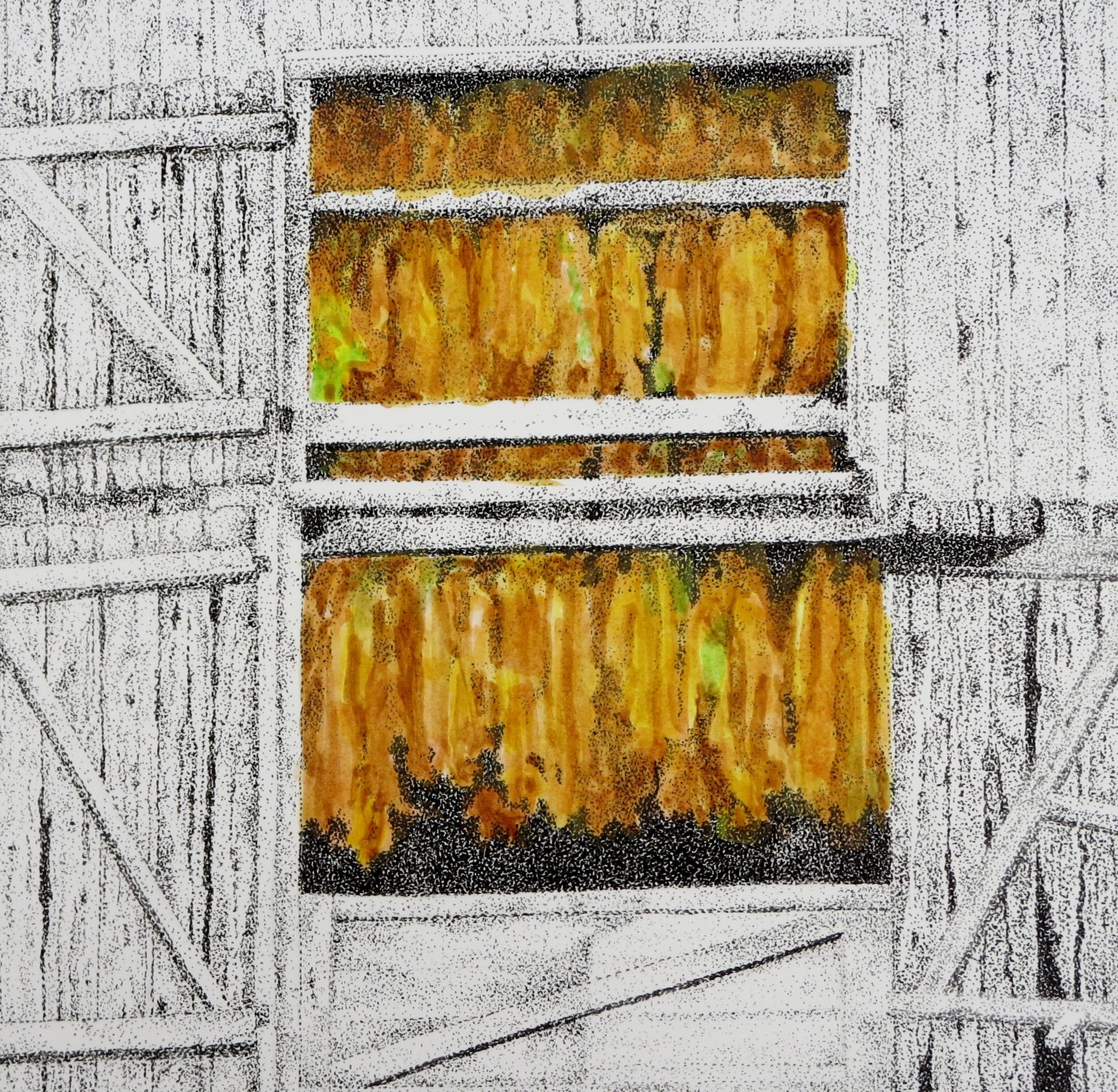 Drying Tobacco