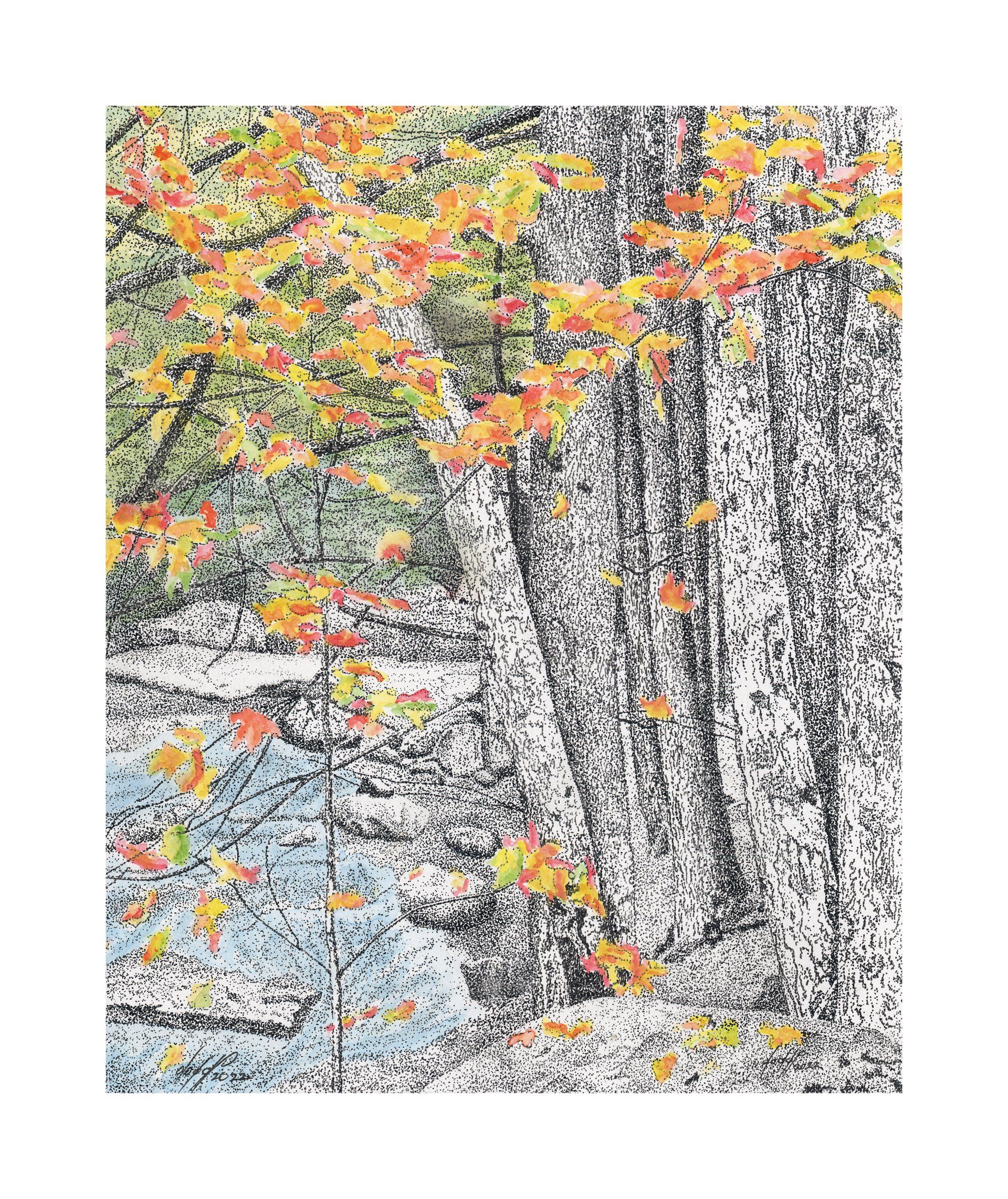 Fall Scenery