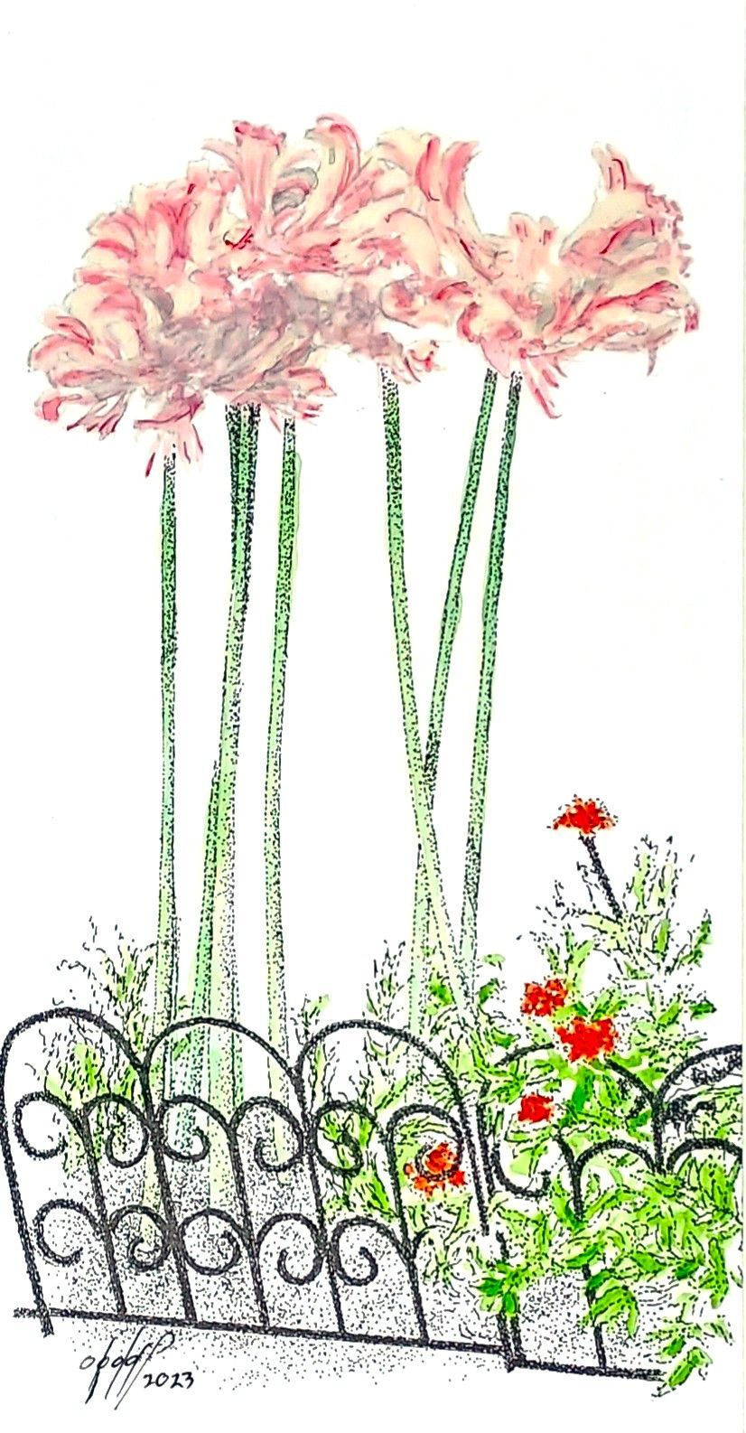 Naked Ladies