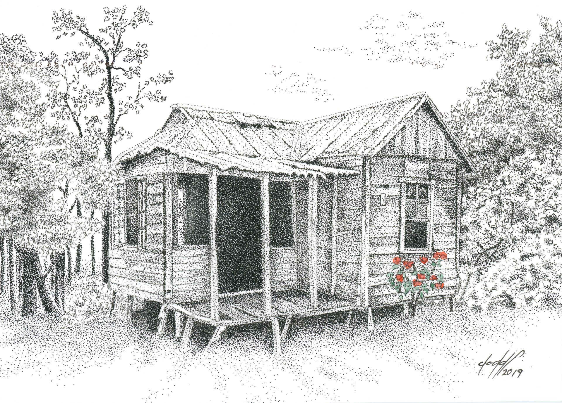 Old Shack With Roses