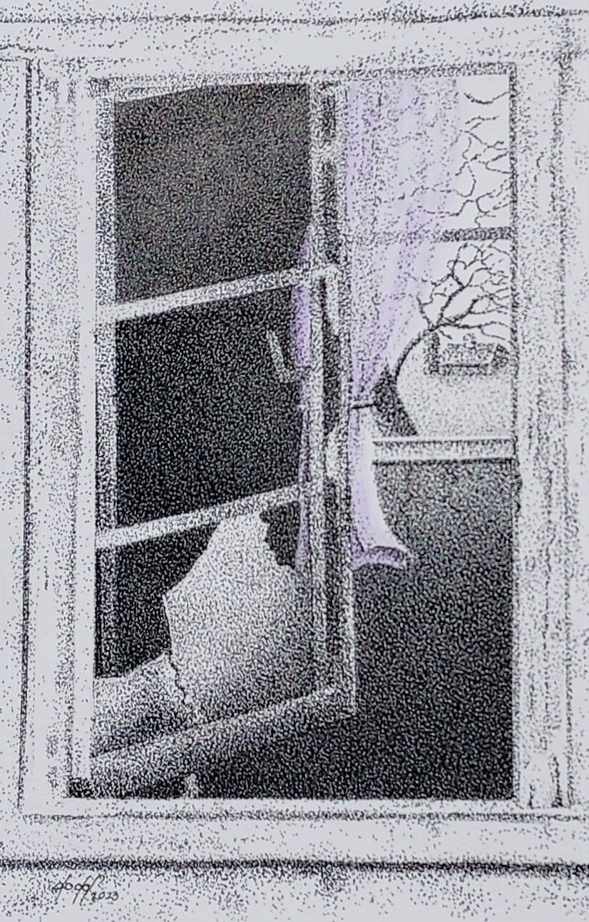 Open Window