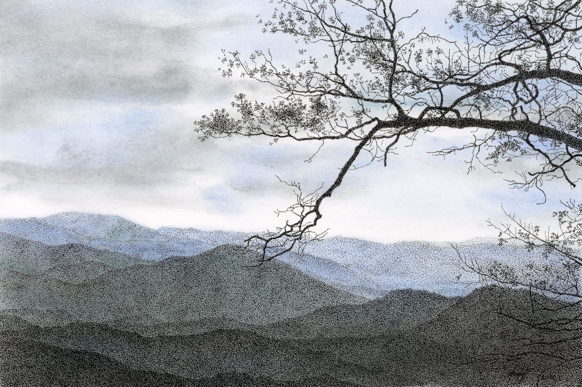Skyline Drive
