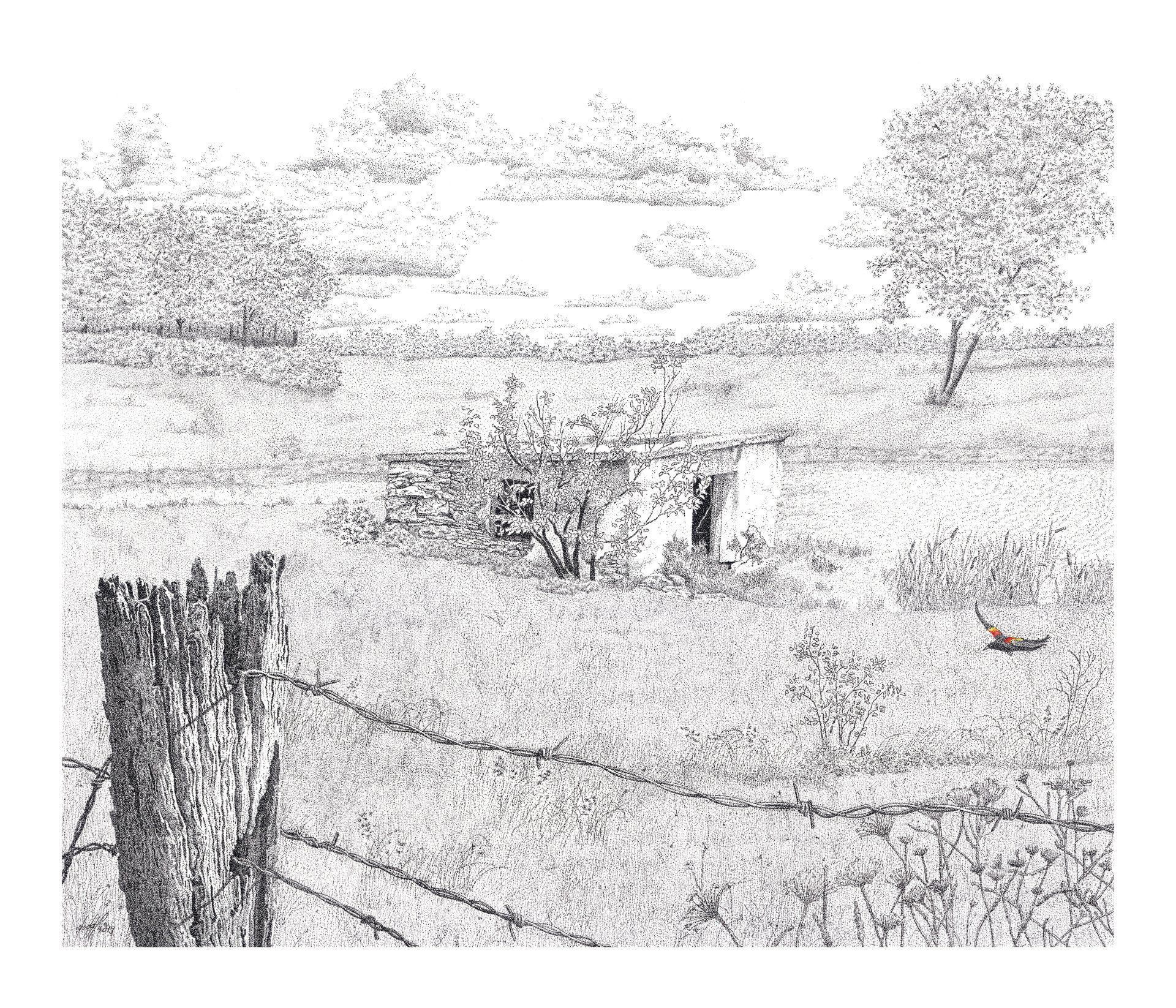 Springhouse With Fence