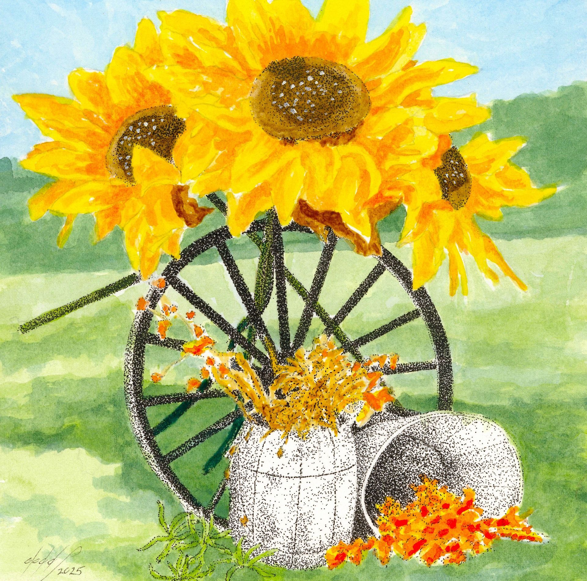 Sunflower