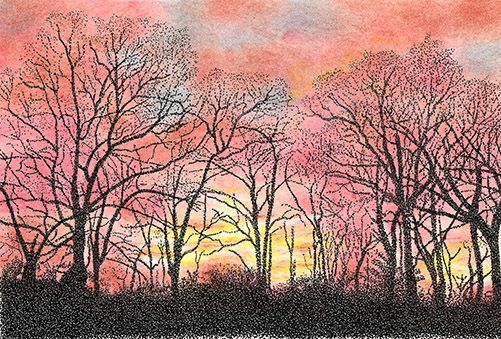 Sunset 1
