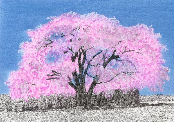 Spring Beauty