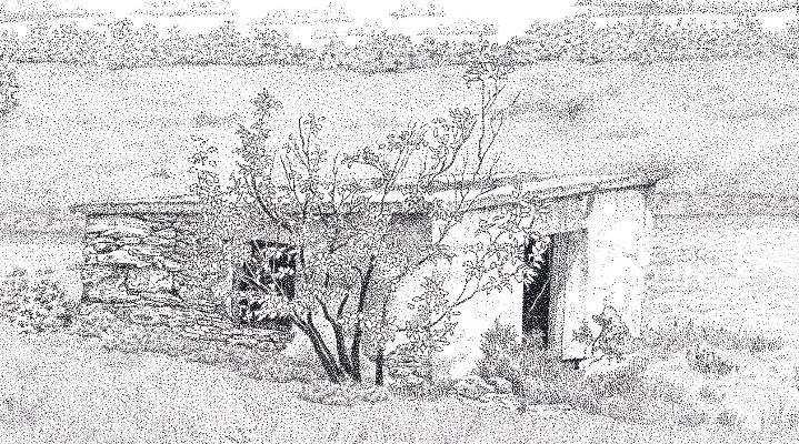 Springhouse