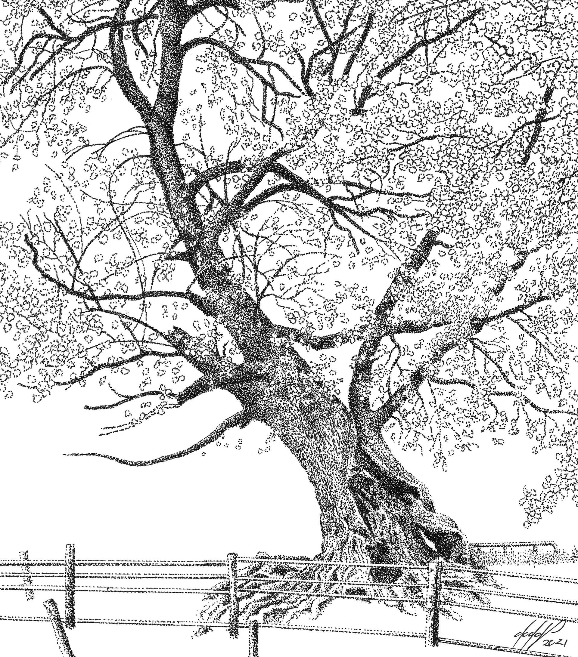 Tree with Fence