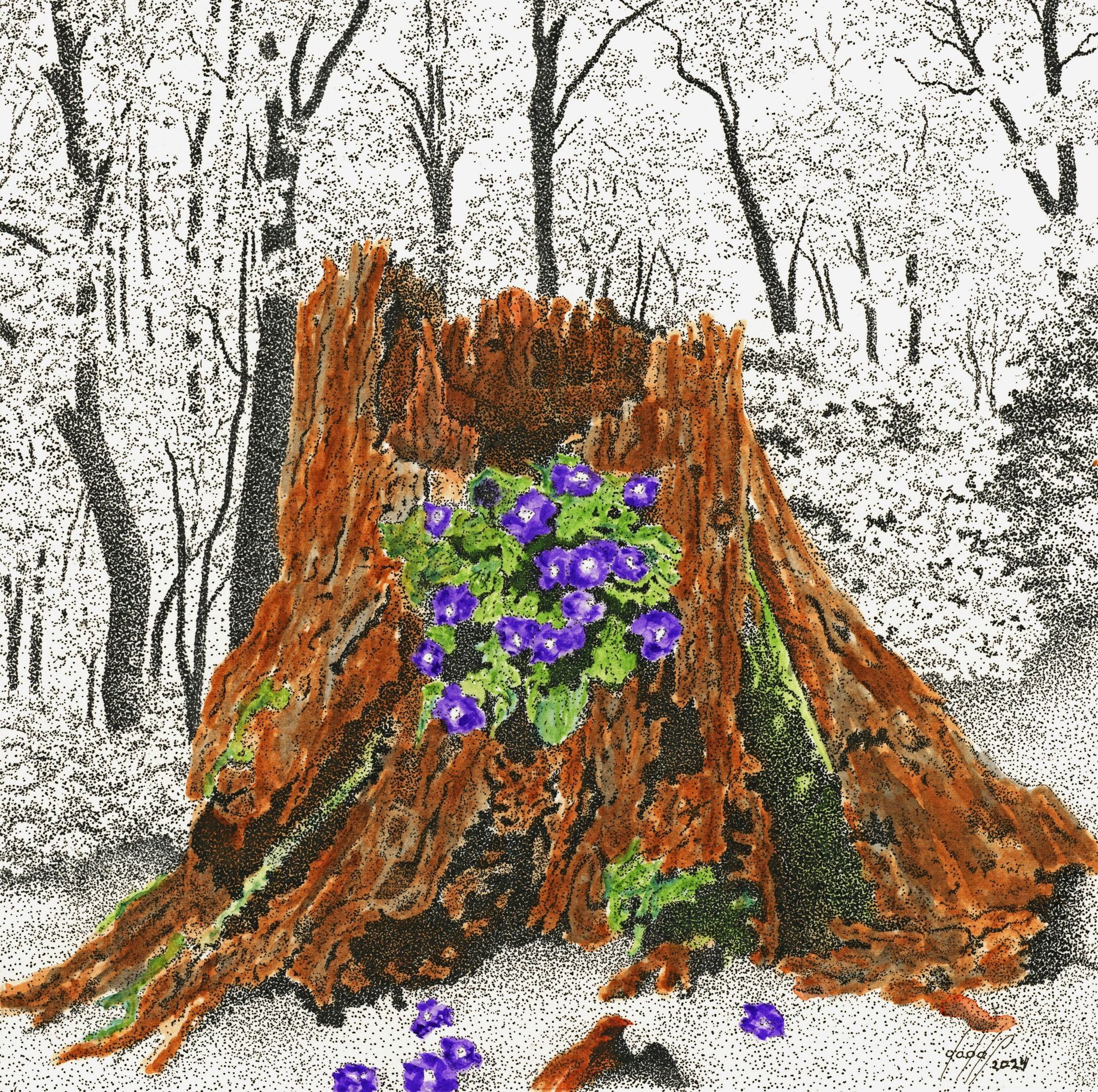 Violets