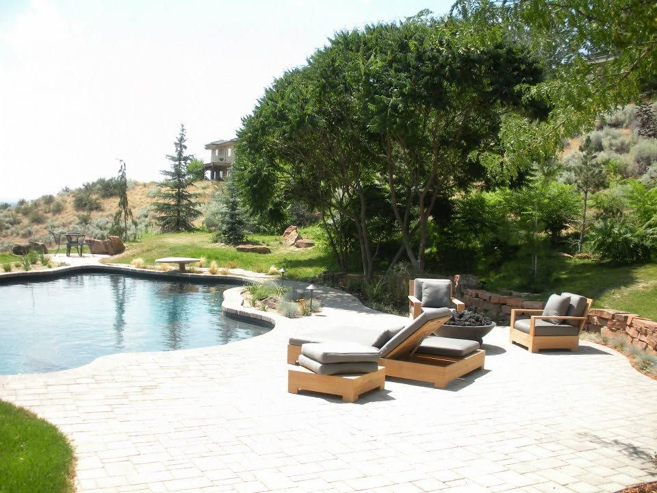 Backyard pool with stone patio, lounge chairs, and a large tree in a sunny landscaped garden