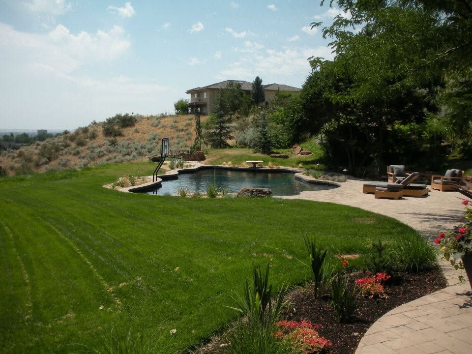Backyard patio with a swimming pool, green lawn, and desert hillside home in the background