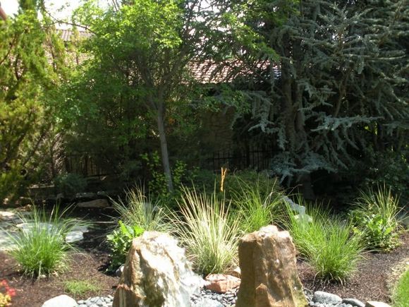 Landscaped garden with shrubs, grasses, and large rocks in front of dense trees