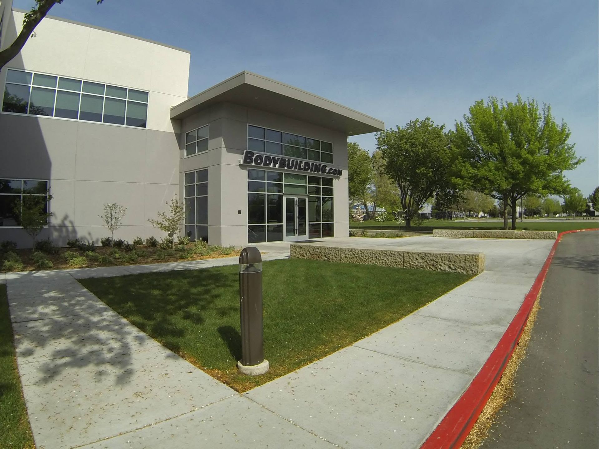 Modern building entrance with glass doors, sidewalk, red curb, and trees on a sunny day